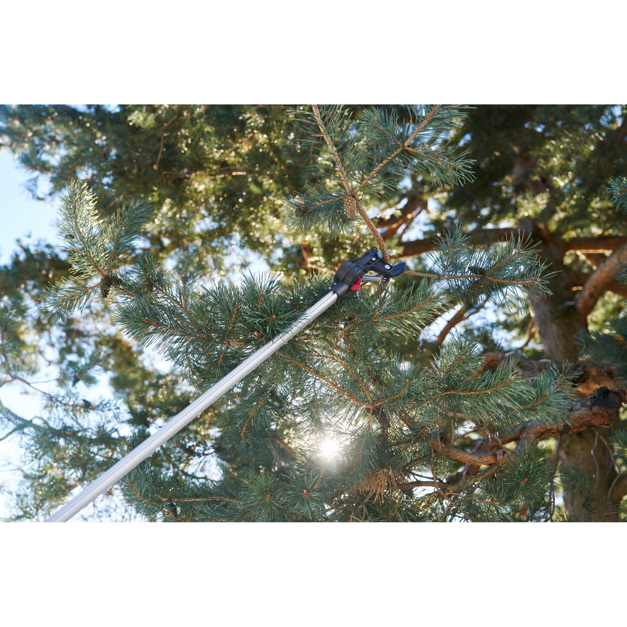 Square_packshots_PNG-FELCO 290_08.png