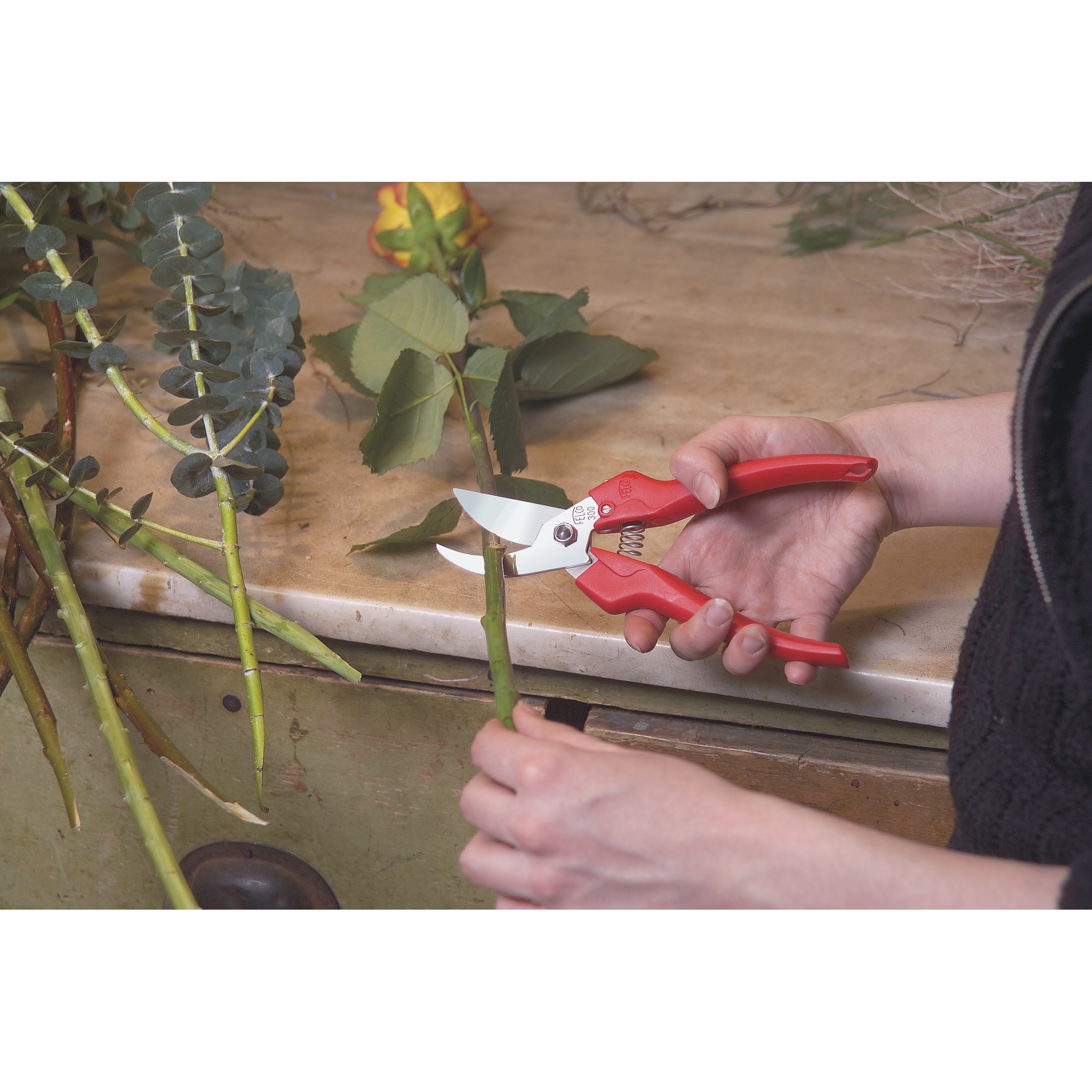 Square_packshots_PNG-FELCO 300_HORTICULTURE_In_Use_1.png