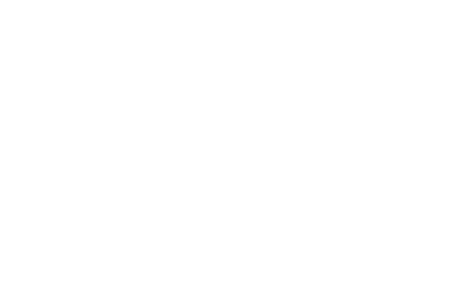 Miss Wausau Area Scholarship Organization