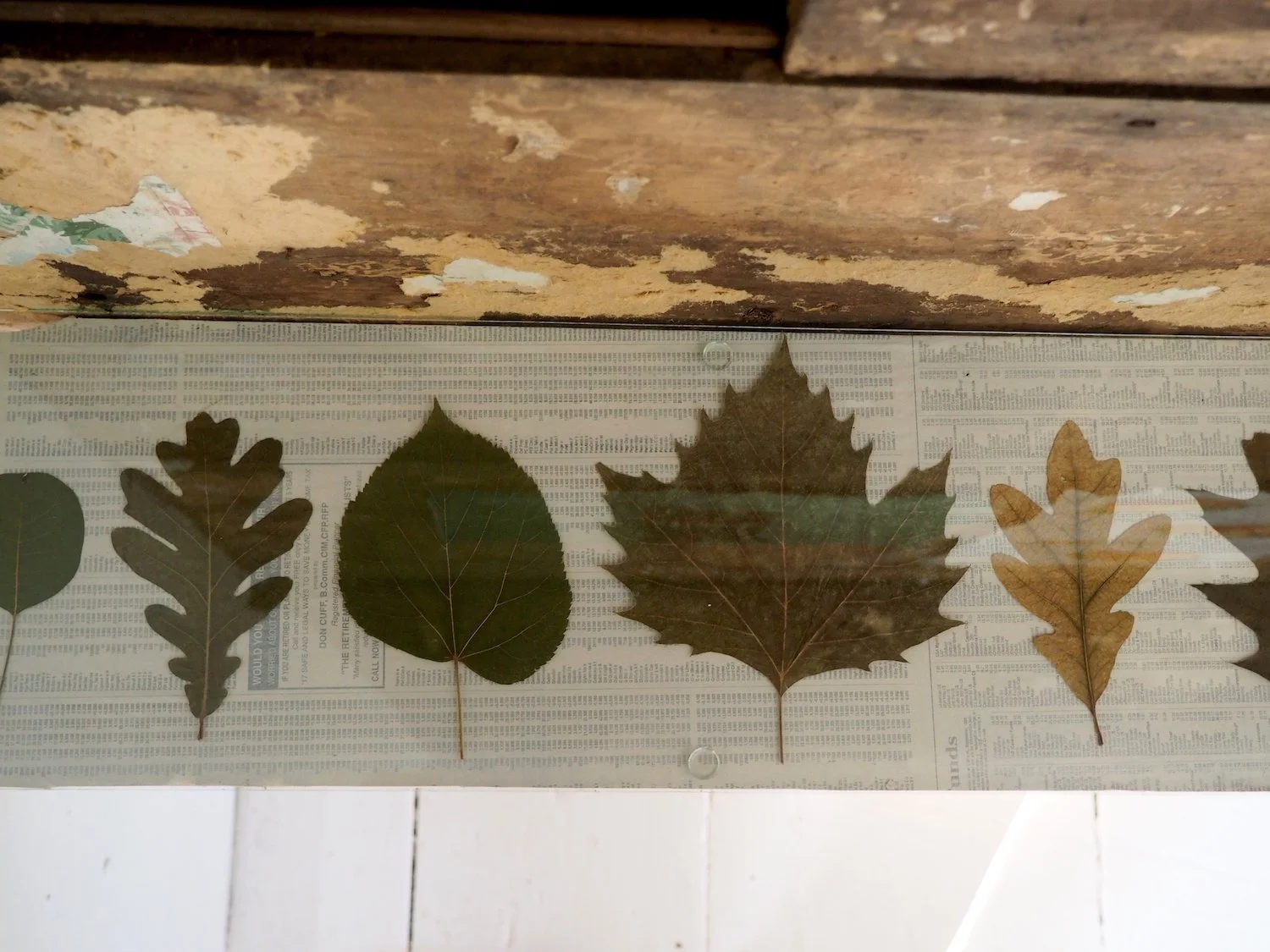 08 leaf collection detail.jpg