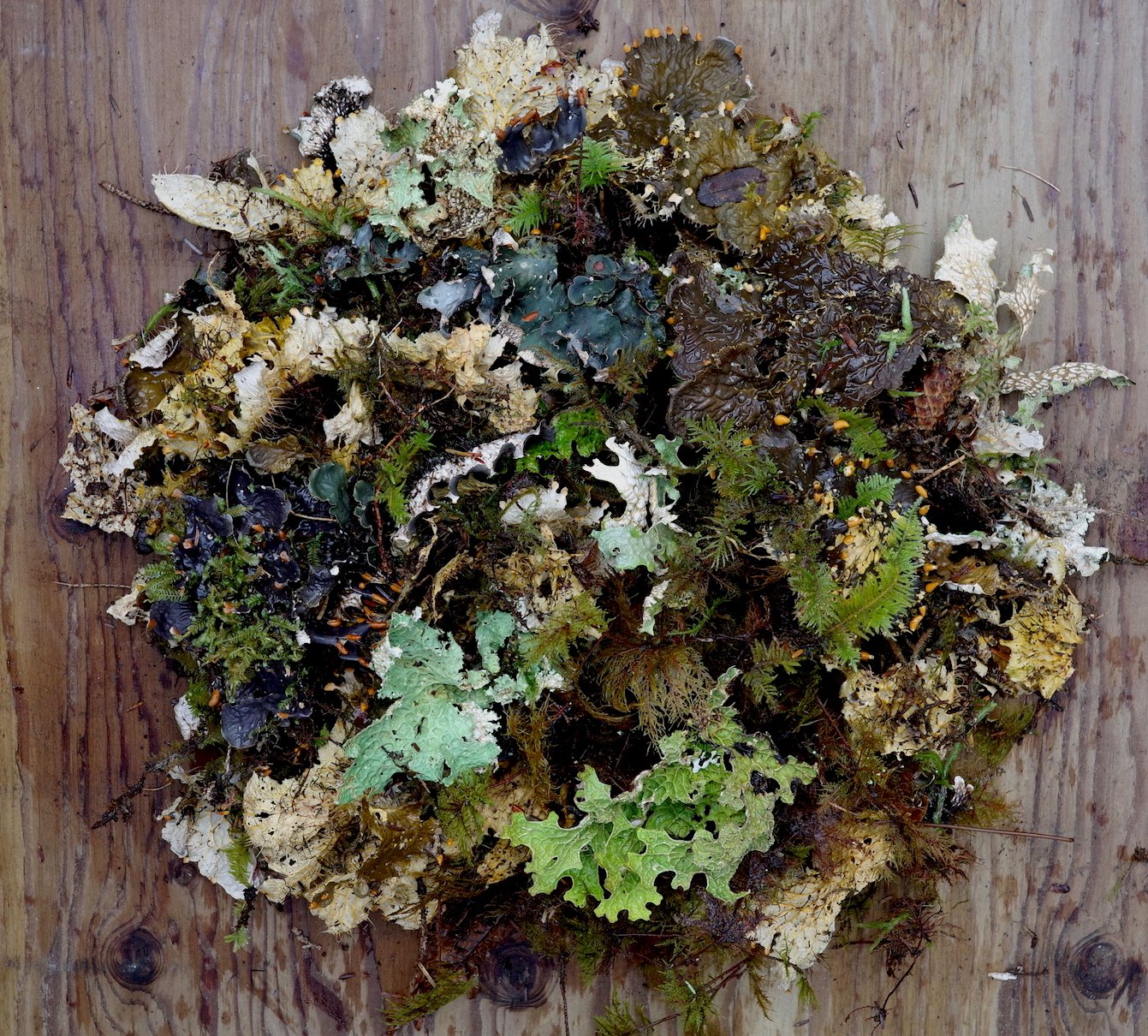 23 R0000197 copy.jpg