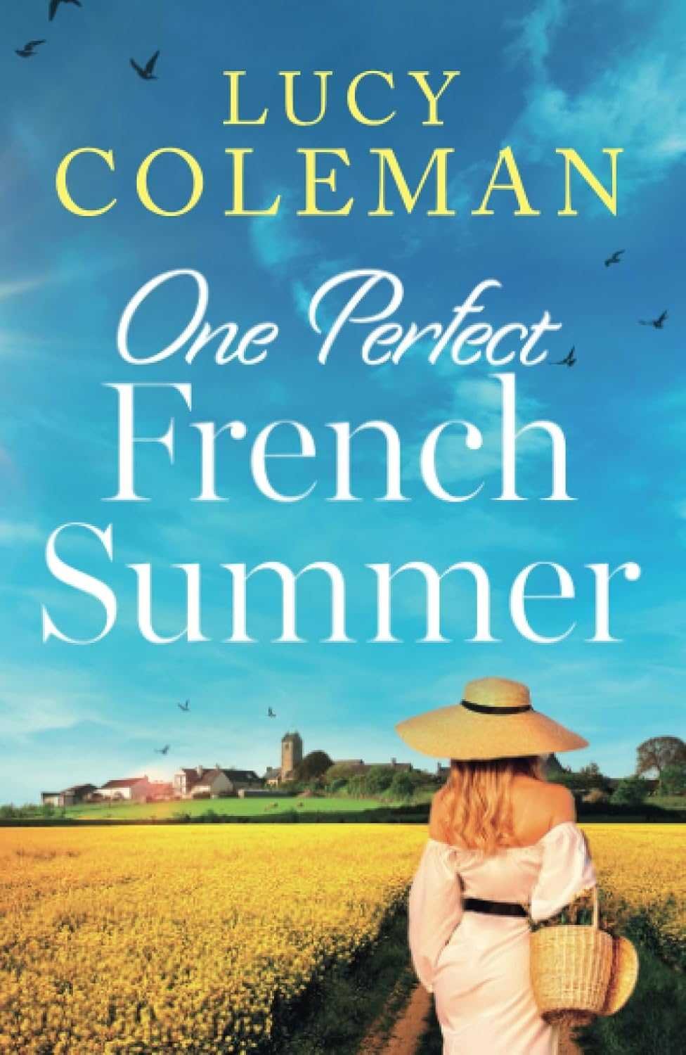 one perfect french summer.jpg