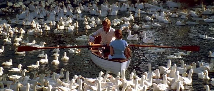 A man and woman are in a small boat surrounded by a large flock of white ducks on a body of water.