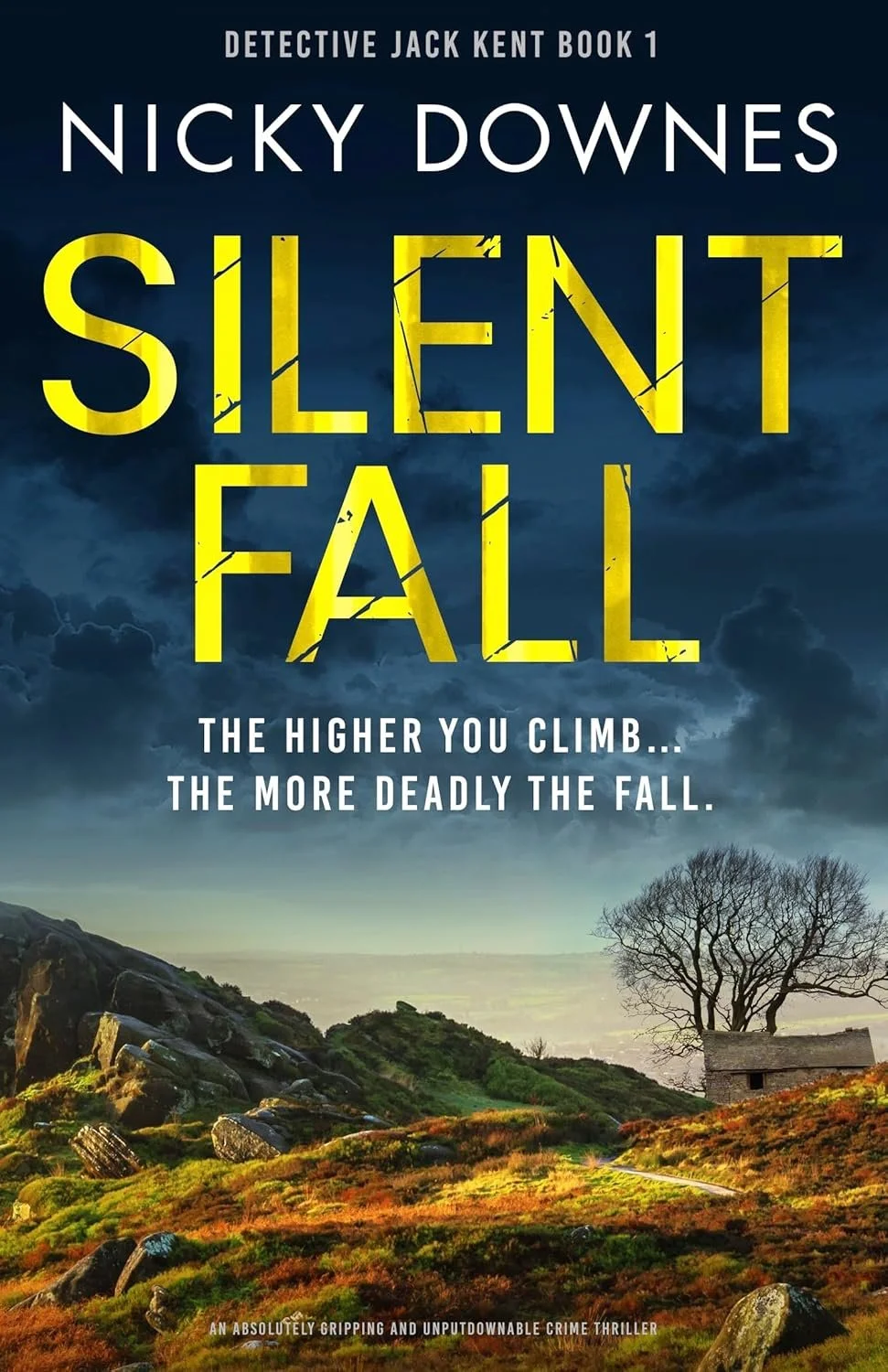 silent fall.jpg