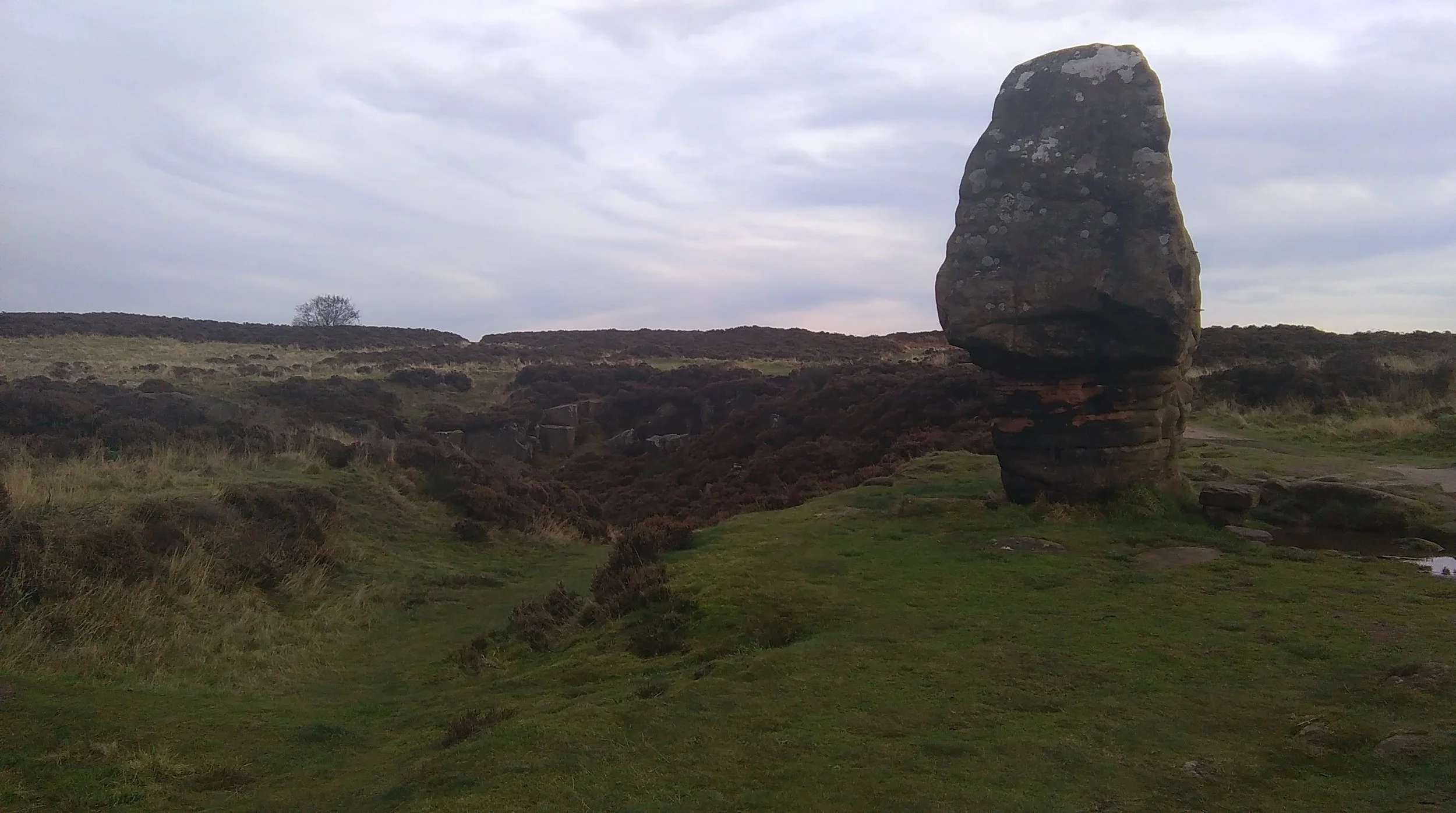 IMAG0107.jpg