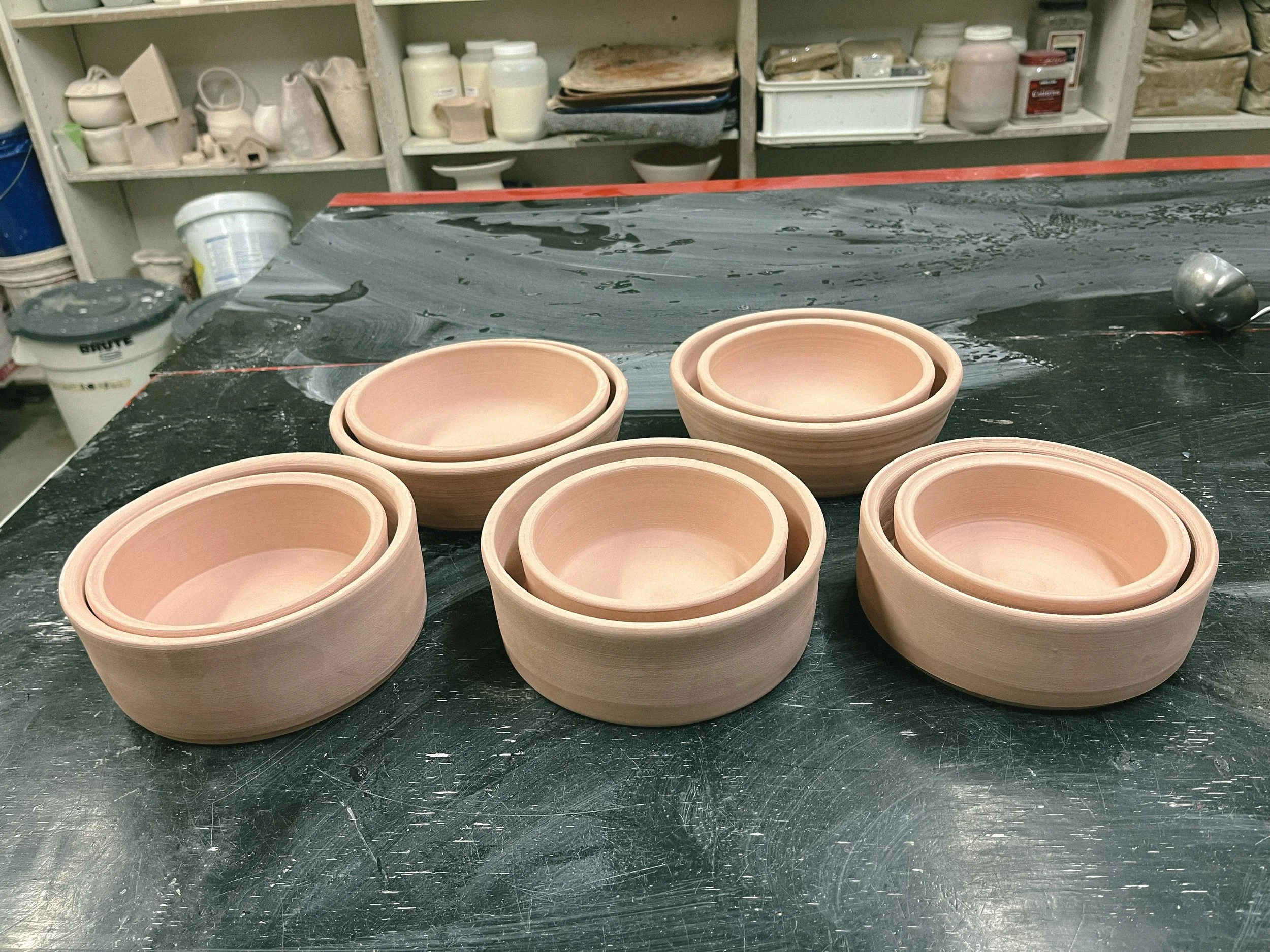 Dog Bowls