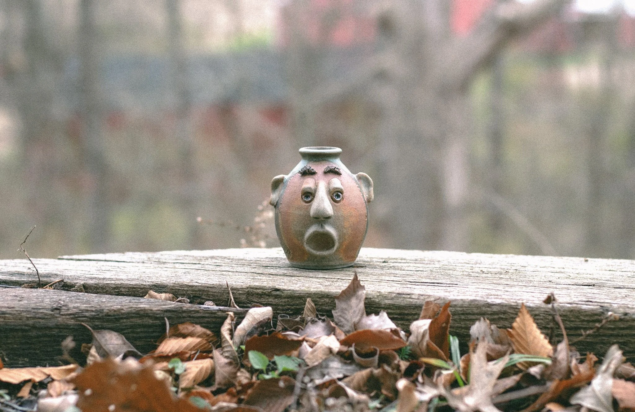 Face Jug