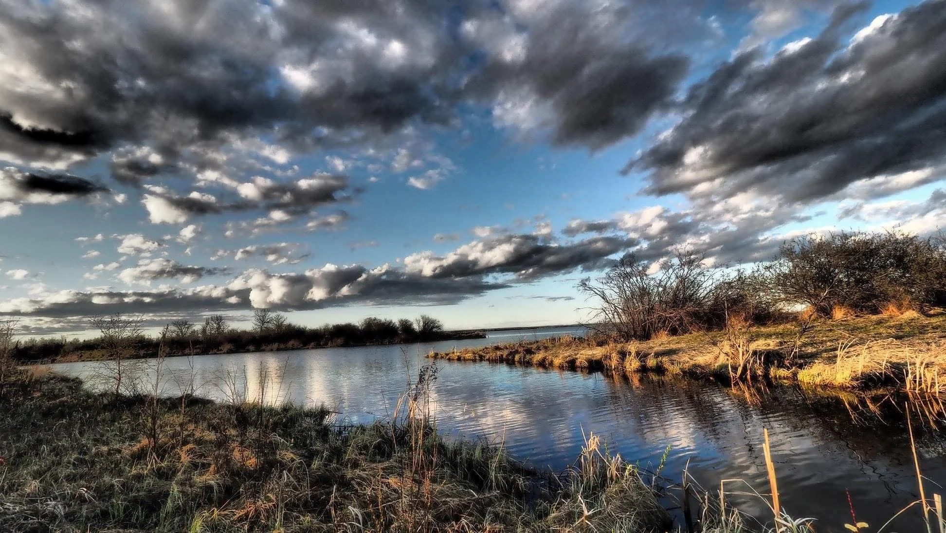 Rolls of dark cloud filled the sky outside the Parkland County. We sat in the car until nightfall by this narrowing strip of lake, listening to the crickets' chorus rise from the summer-dry grass—a symphony of gathering storm and coming dark.