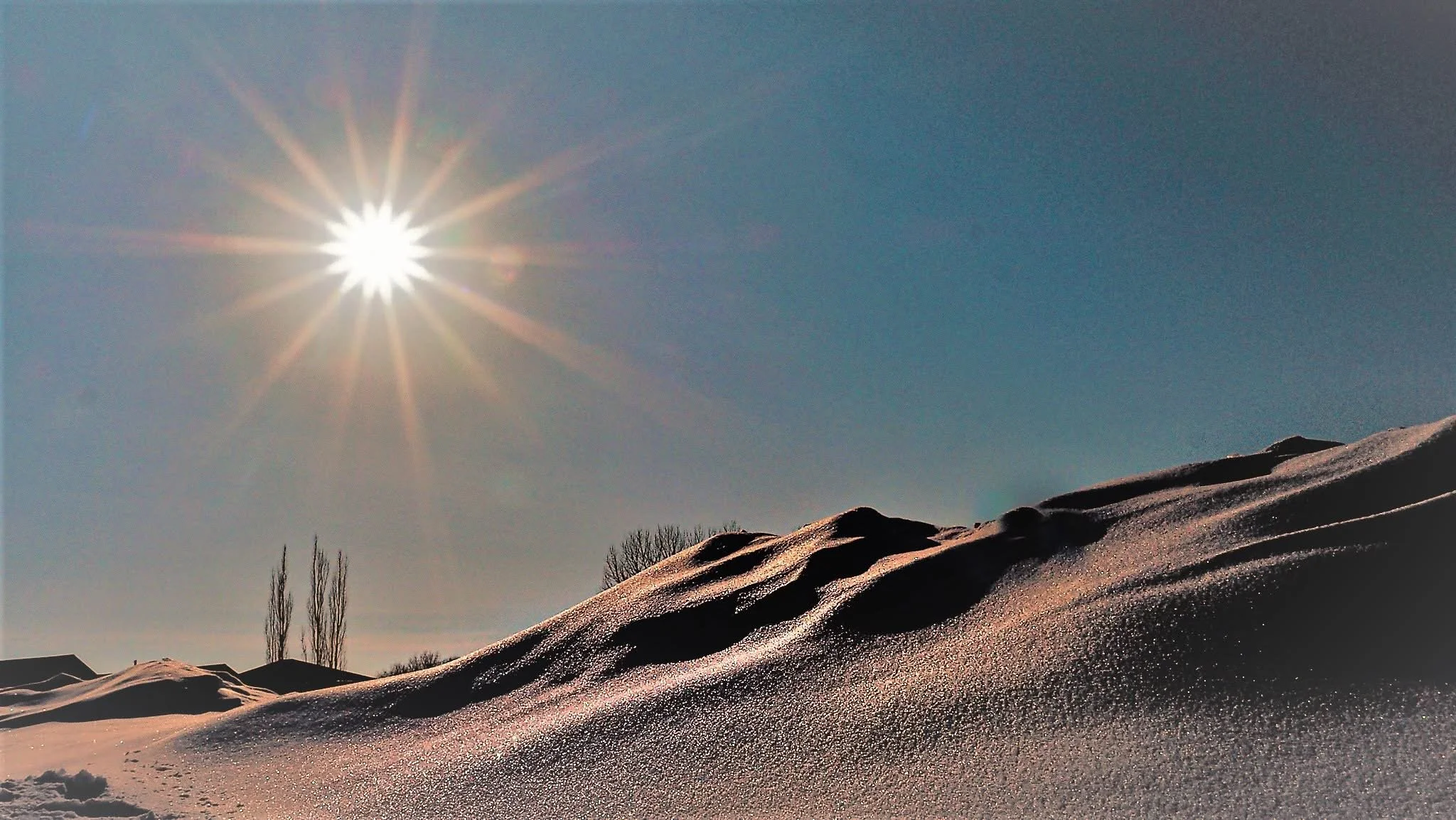 Minus thirty in Stony Plain. The winter sun struck a snow pile, and suddenly it was not snow but a mound of glittering grain—a trick of light that made the frozen world feel abundant, edible, strangely warm.