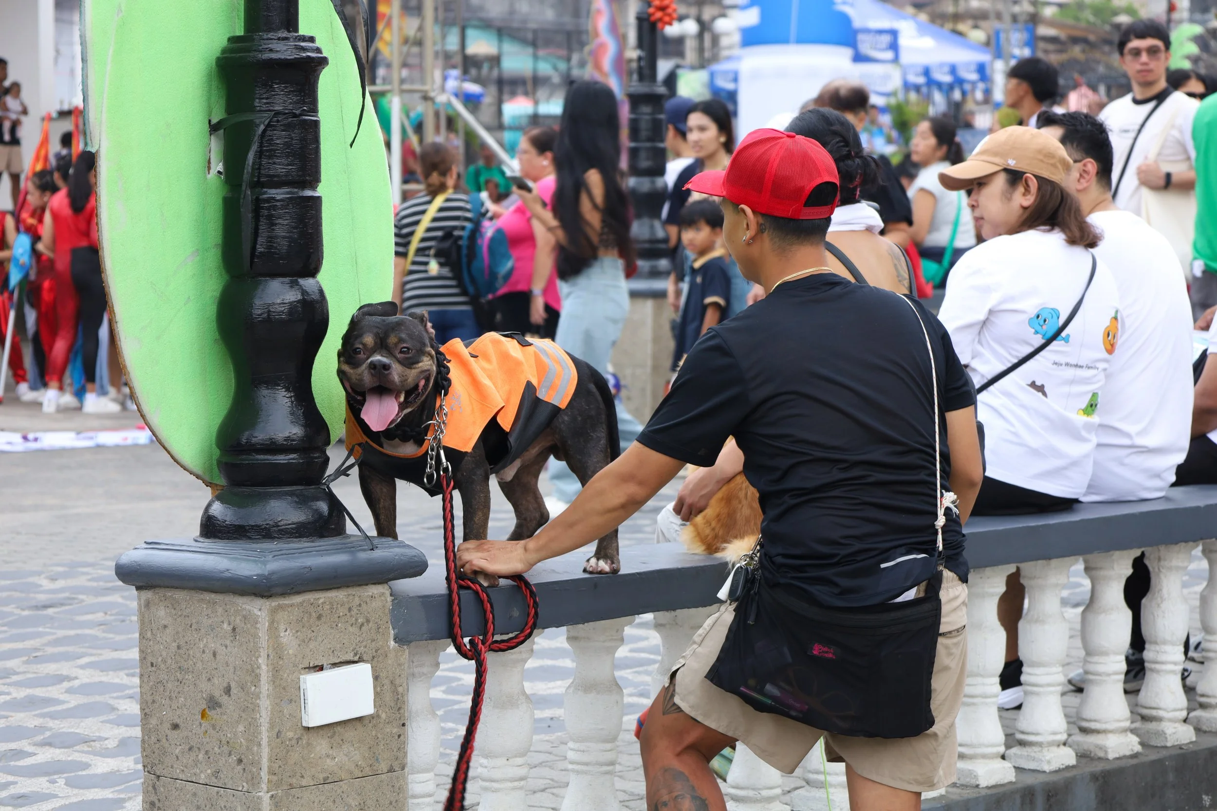 IMG_3560.jpg