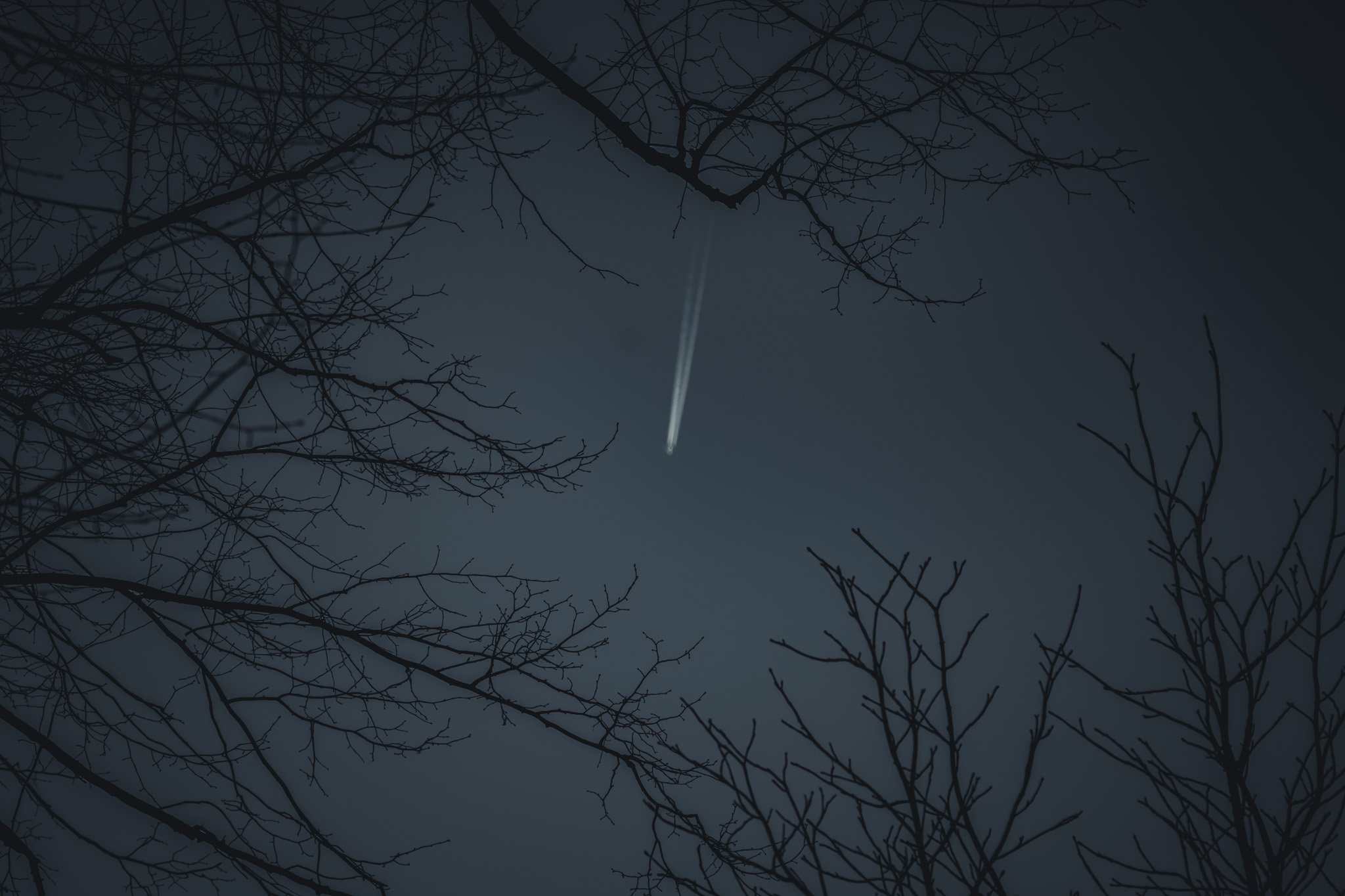 Night sky viewed through tree branches with a visible airplane contrail