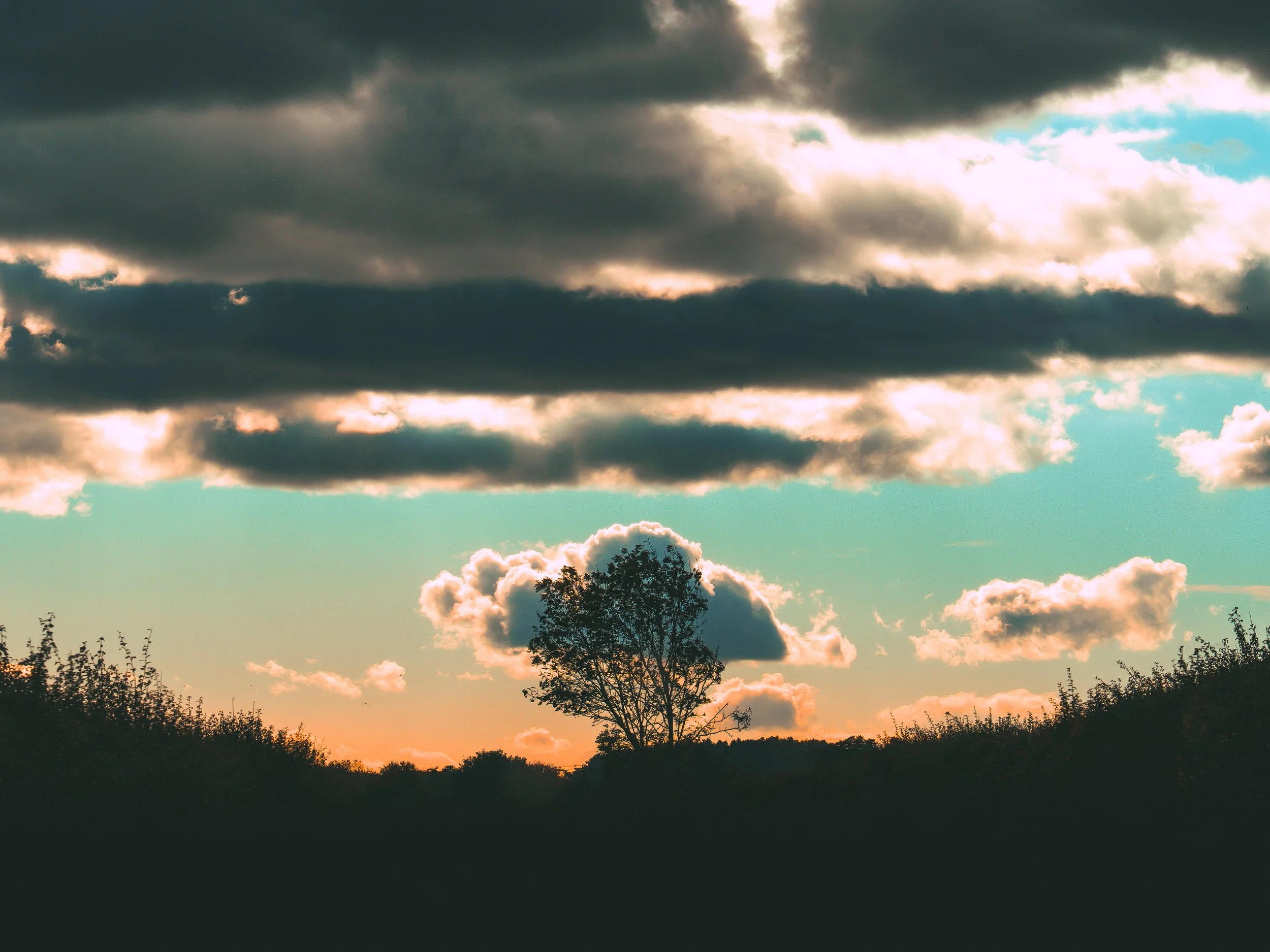 A sunset scene with a silhouette of a tree in the foreground, dark clouds in the sky, and a hint of orange and blue hues near the horizon.