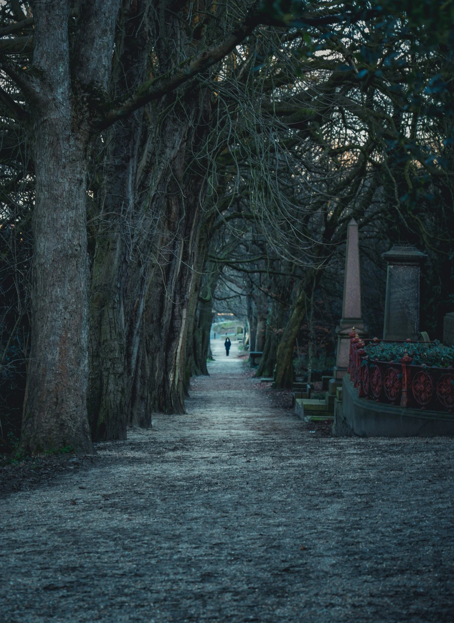 Dirt pathway lined with large, leafless trees on either side, leading to a distant figure walking away. Grave markers and a decorative fence are visible on the right side.