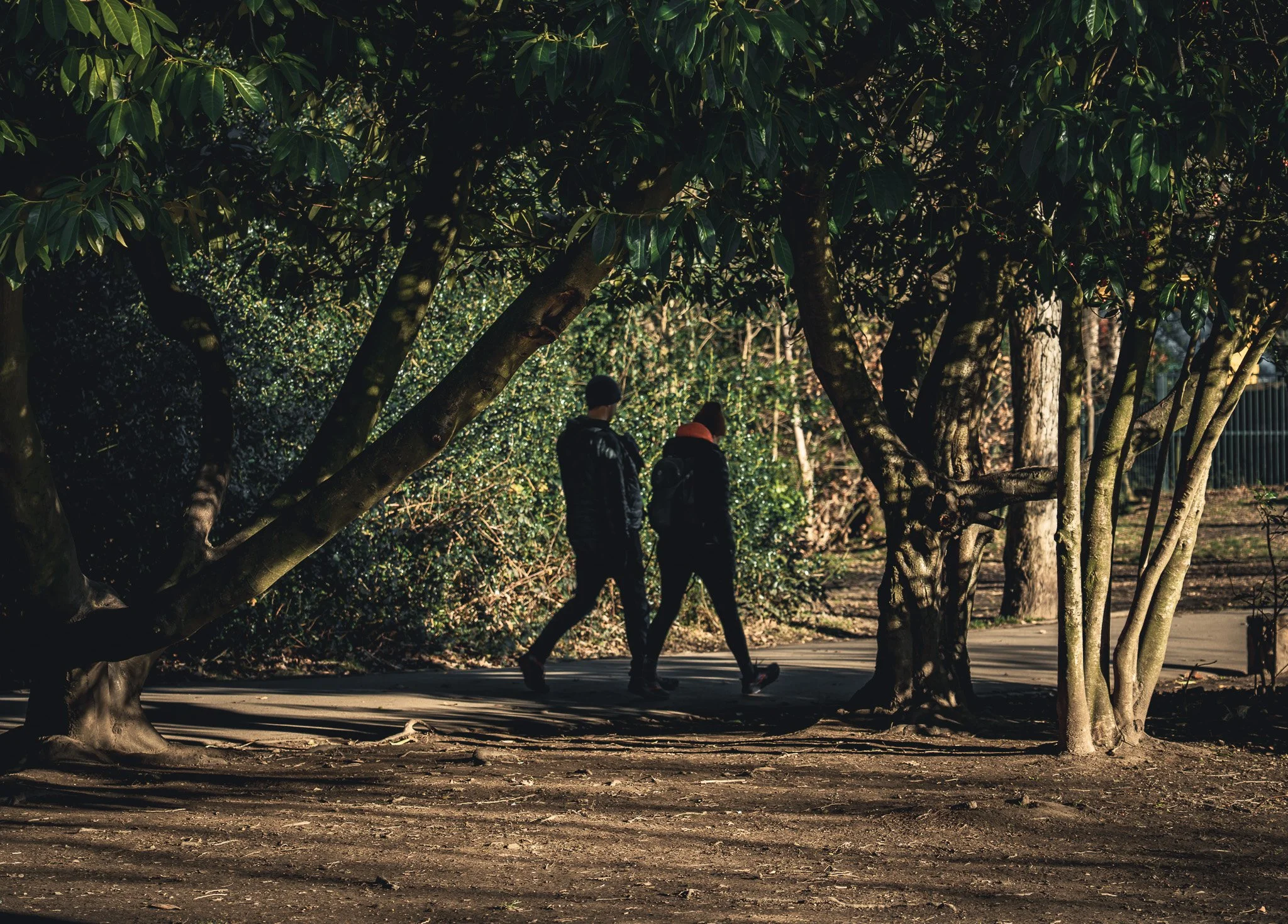 Two people walking through a park or wooded area with trees and sunlight filtering through the leaves.