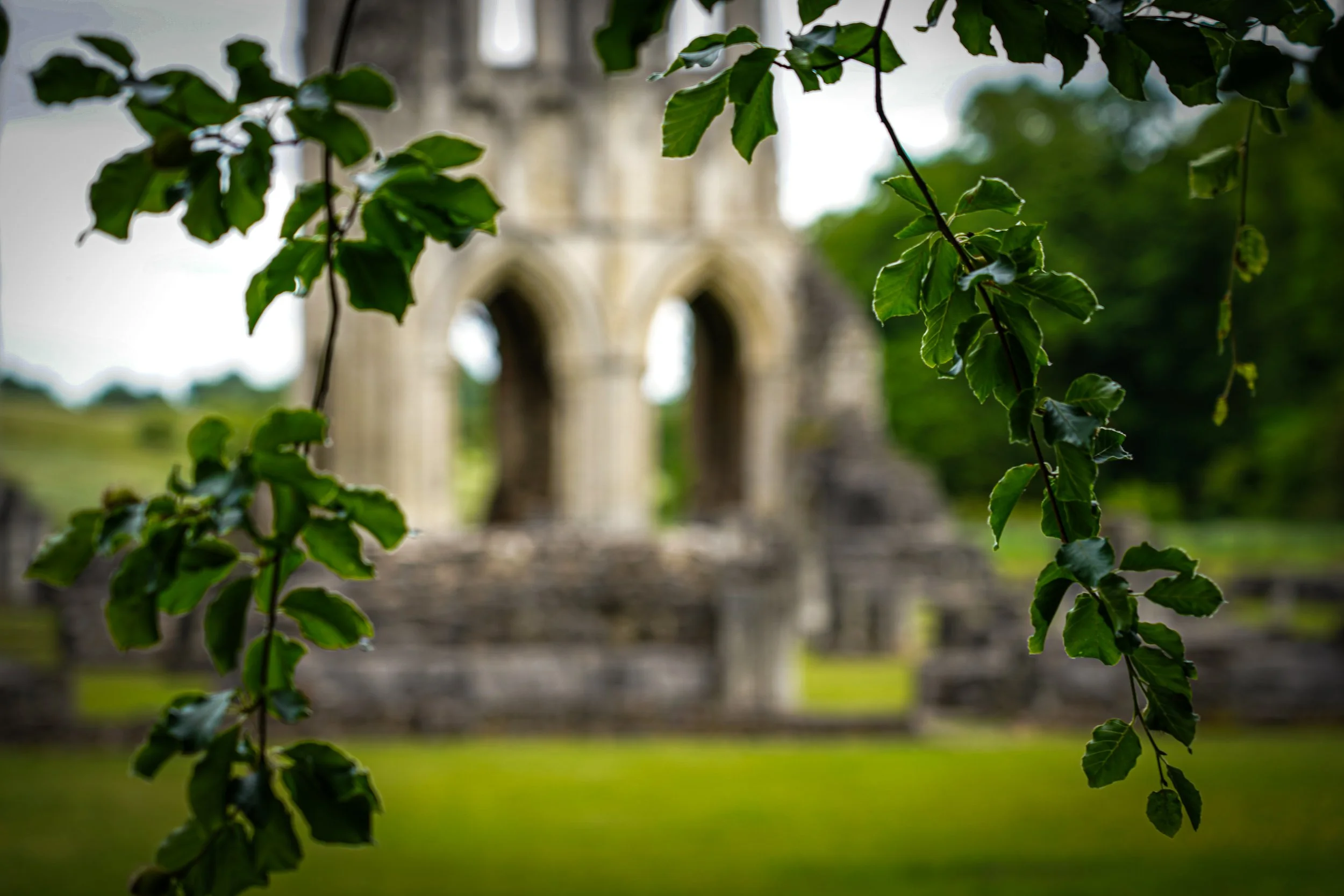 Green leaves hanging in the foreground with an historic stone arch bridge in the background, blurred.