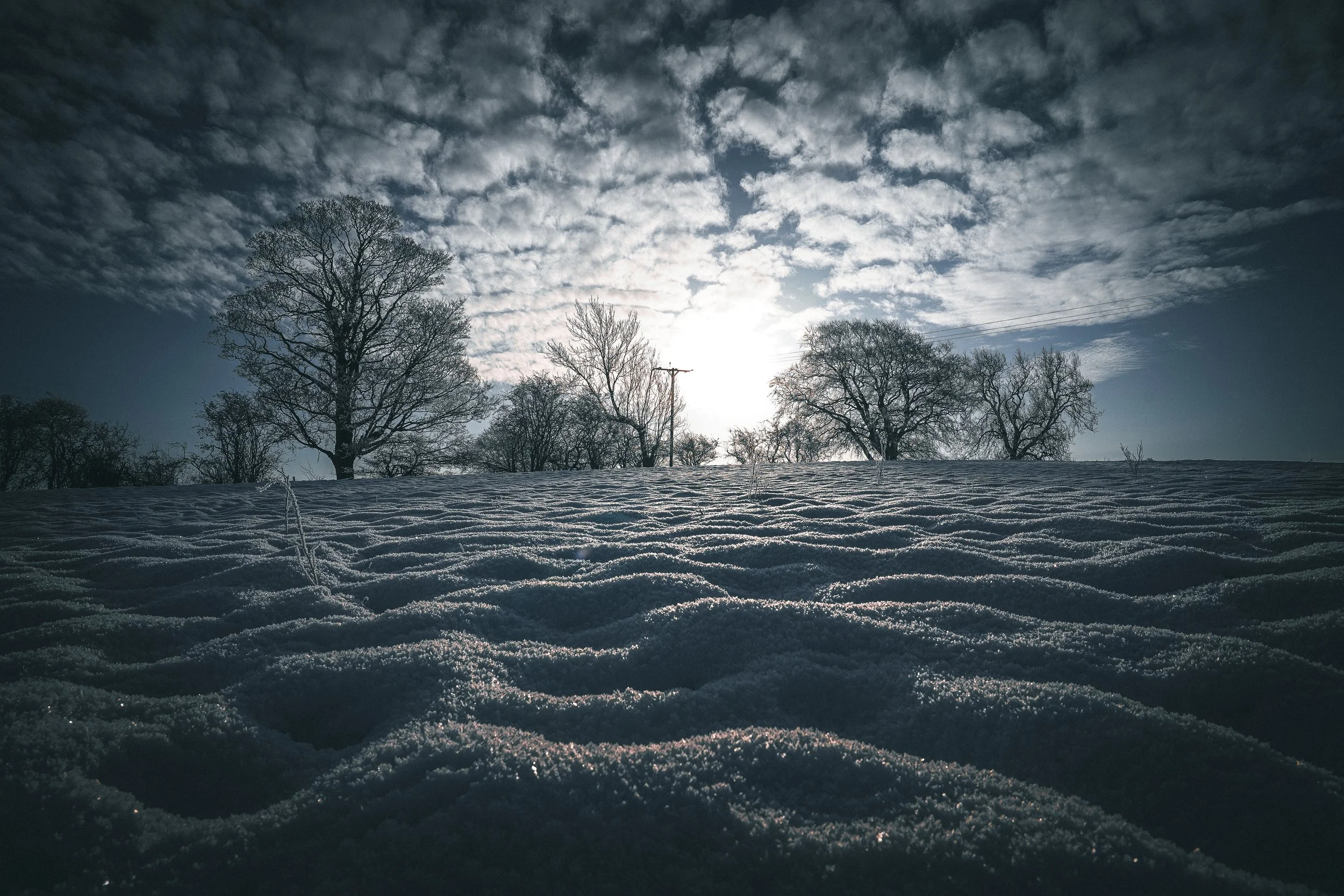 Snow-covered ground with leafless trees in the background, under a sky with scattered clouds and sunlight