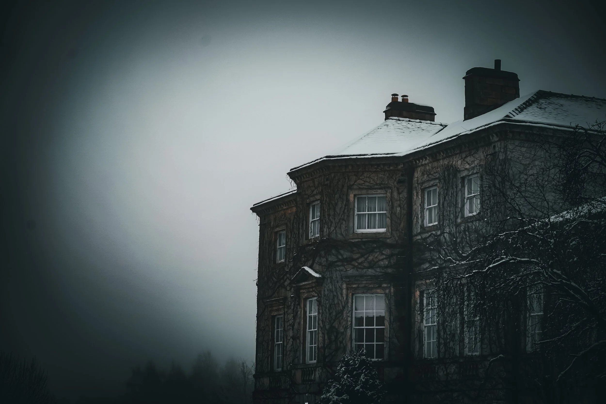 An old multi-story house with a snow-covered roof, surrounded by leafless vines and trees, under a dark, cloudy sky.