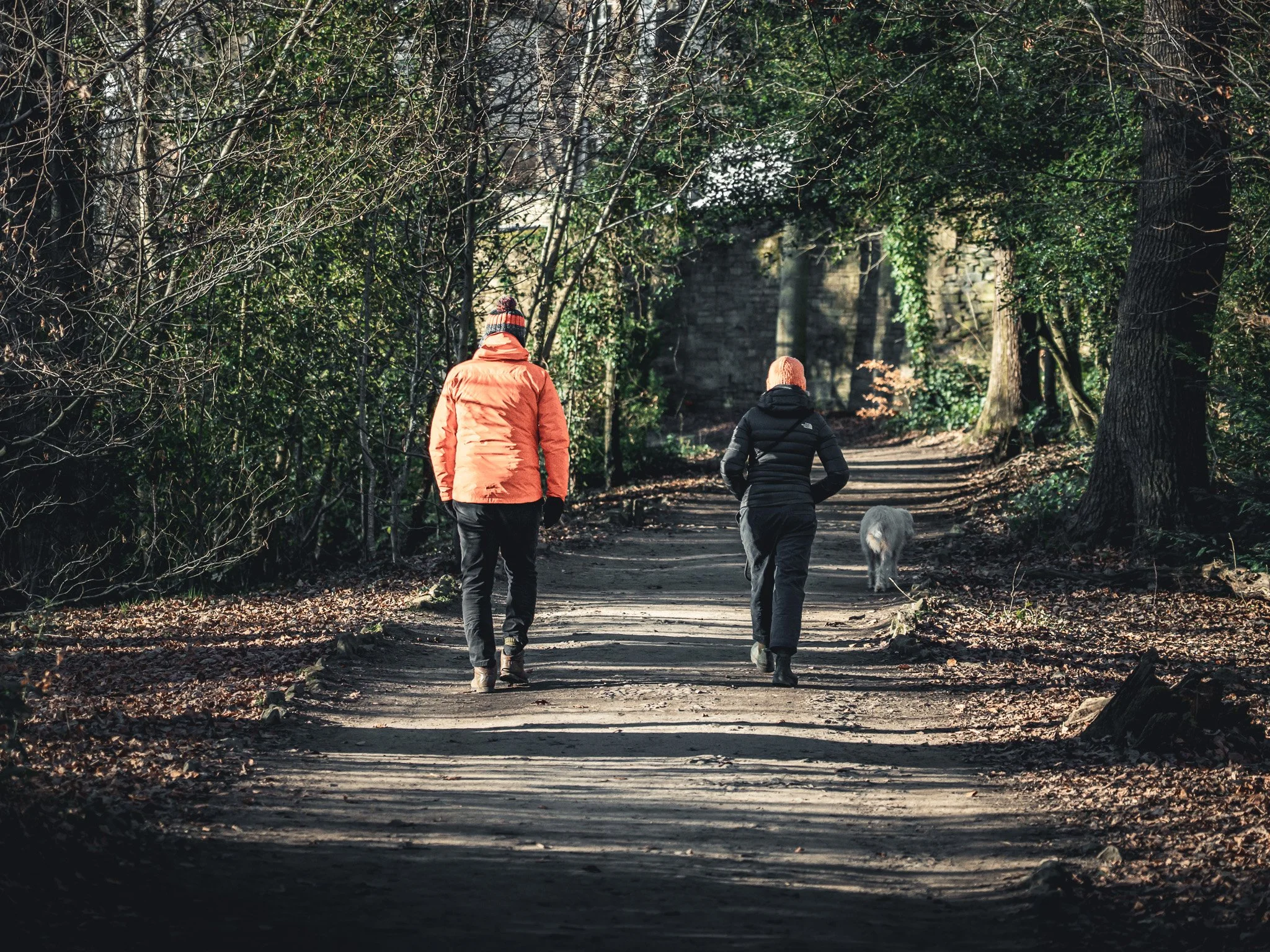 Two people walking a dog on a wooded trail in winter, dressed in warm jackets.