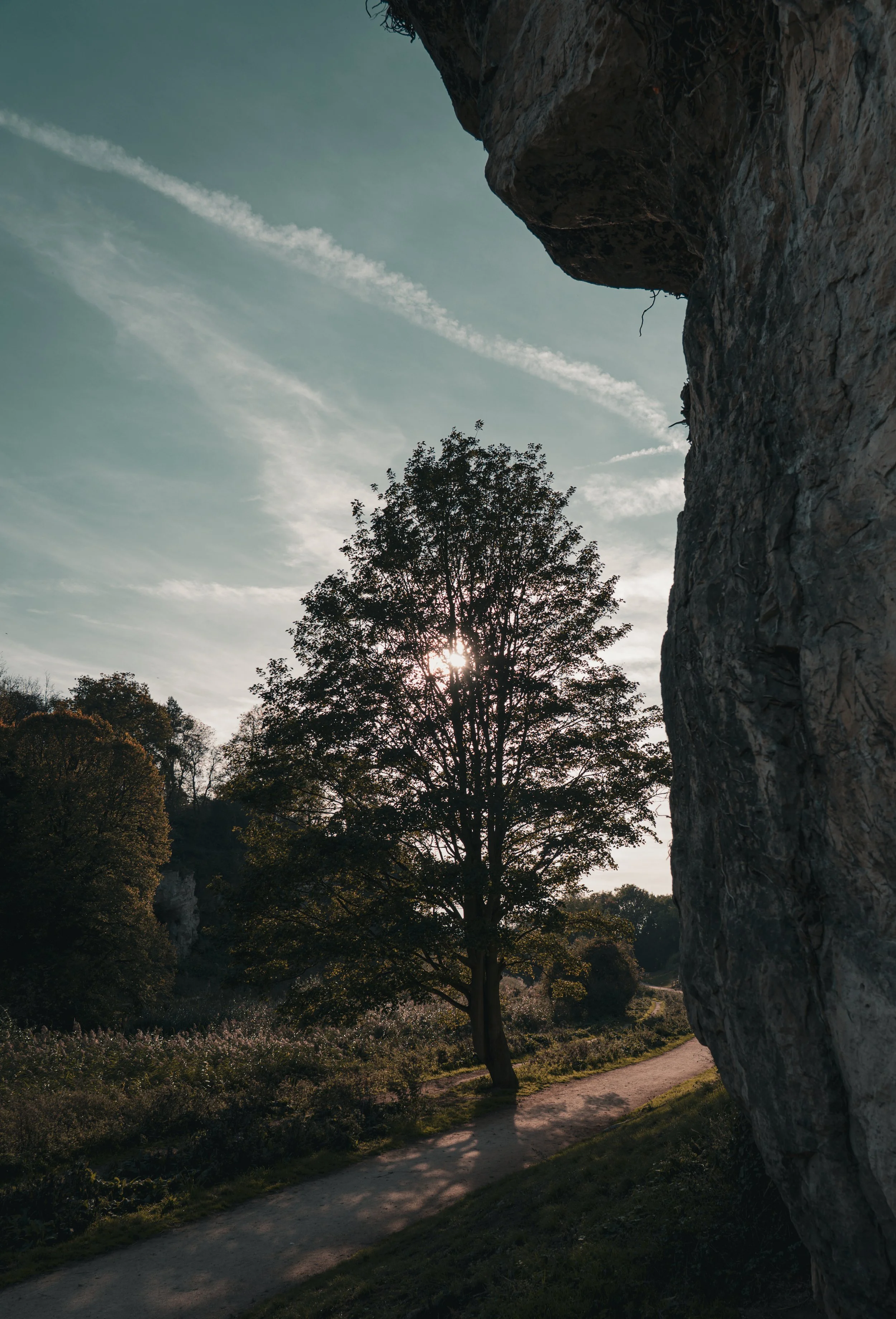 A scenic outdoor landscape with a large tree casting a shadow on a dirt path, a rocky cliff on the right, and the sun peeking through the tree's branches during sunset.