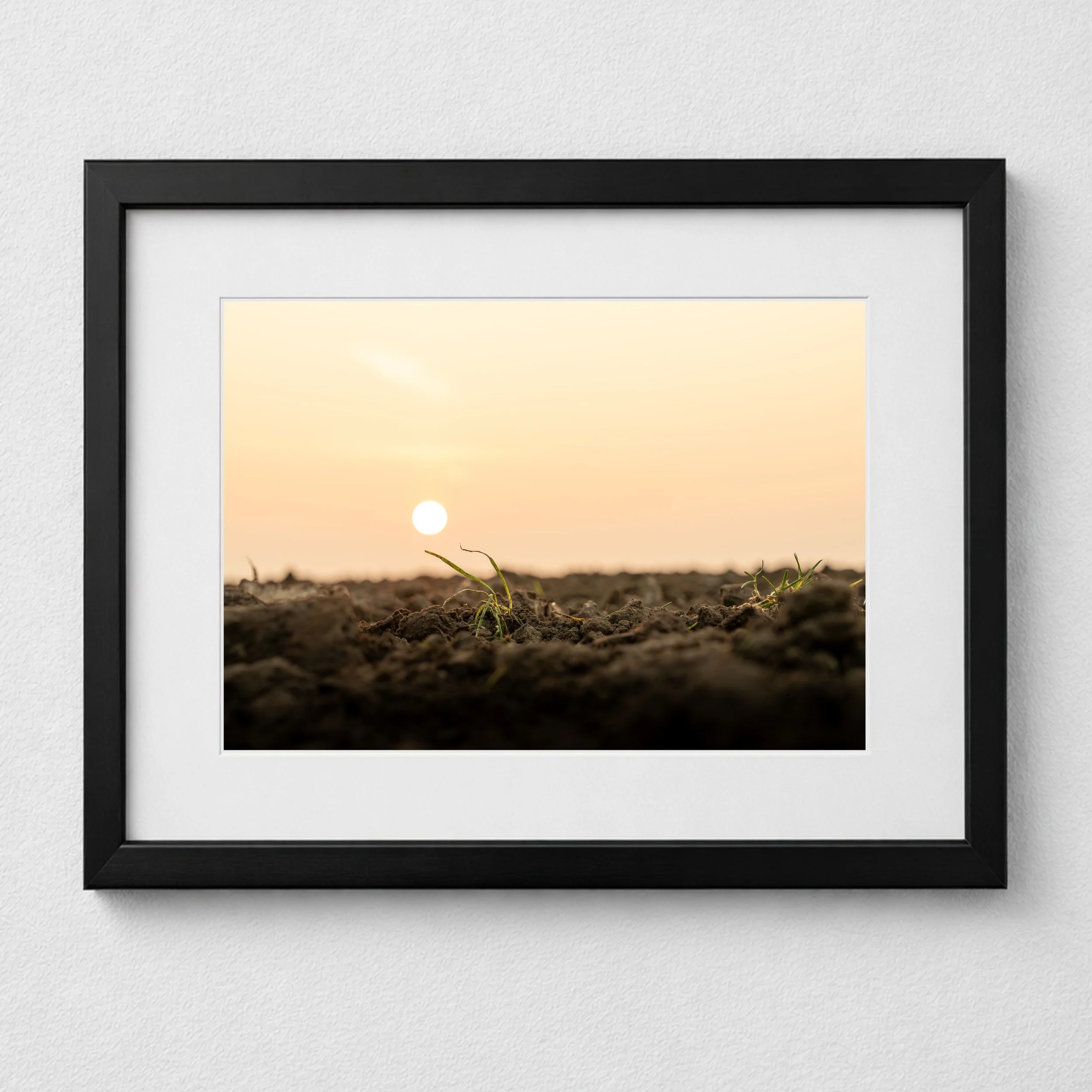 First Sign Of Spring