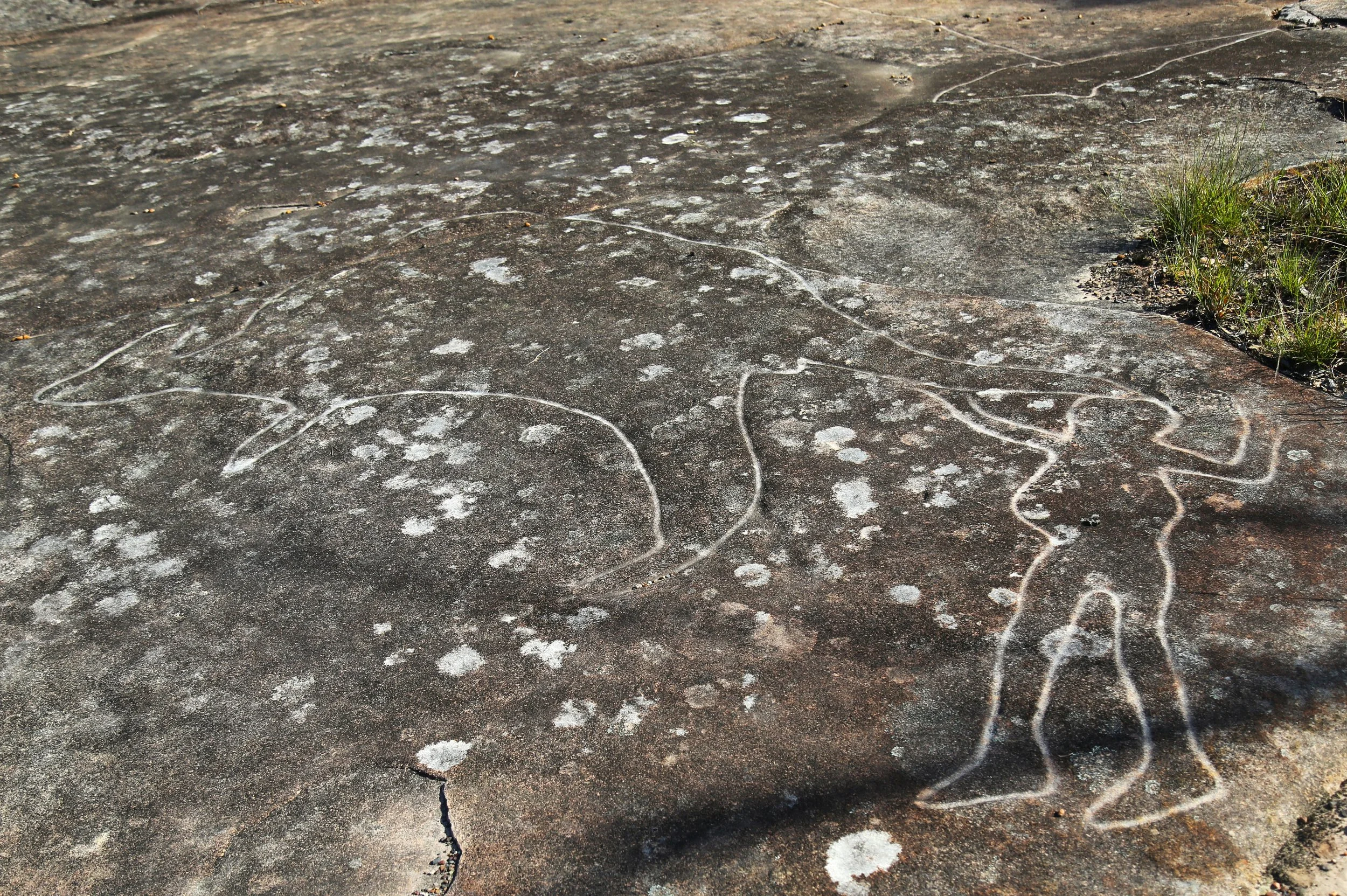 Cultural Notes from Australia                &amp;    New Zealand