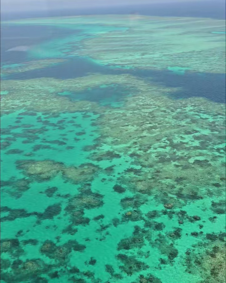 Cairns – Day 2