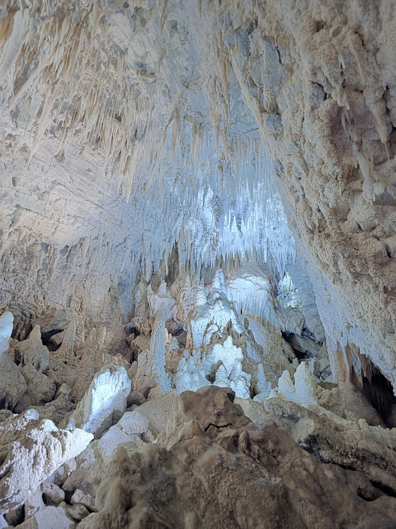 Auckland &amp; Glowworm Caves