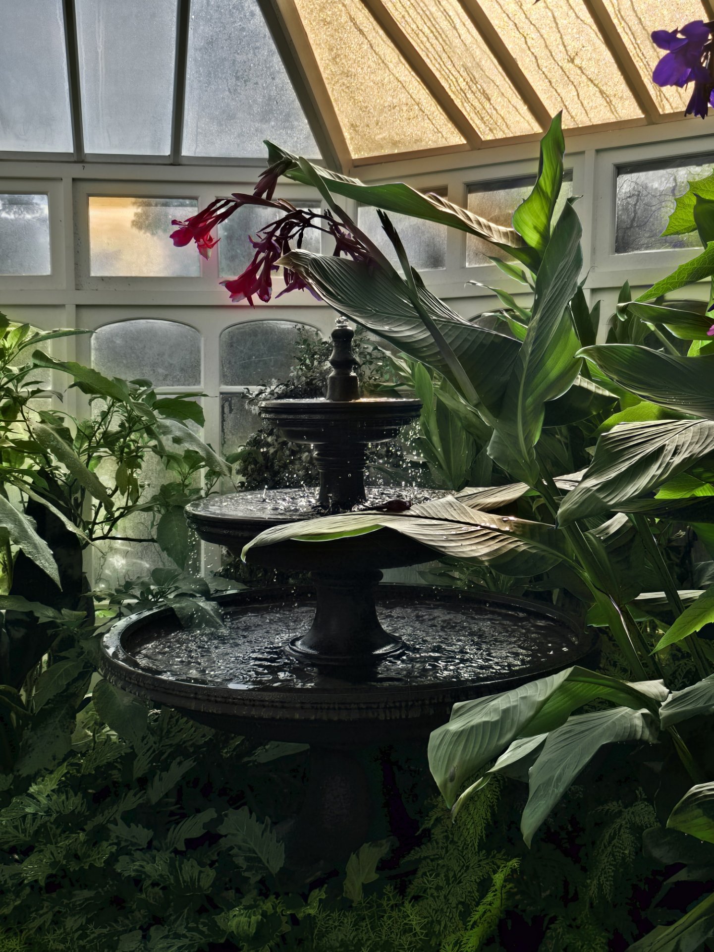 20260126_090424.jpg