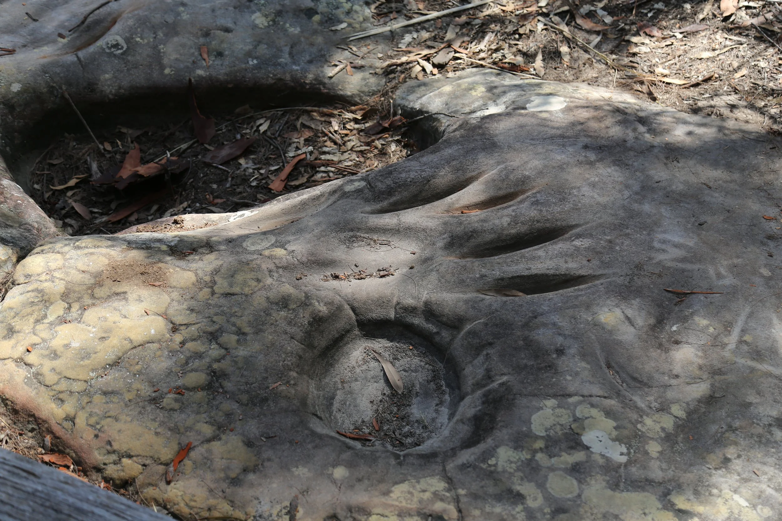 CG9A2835.JPG