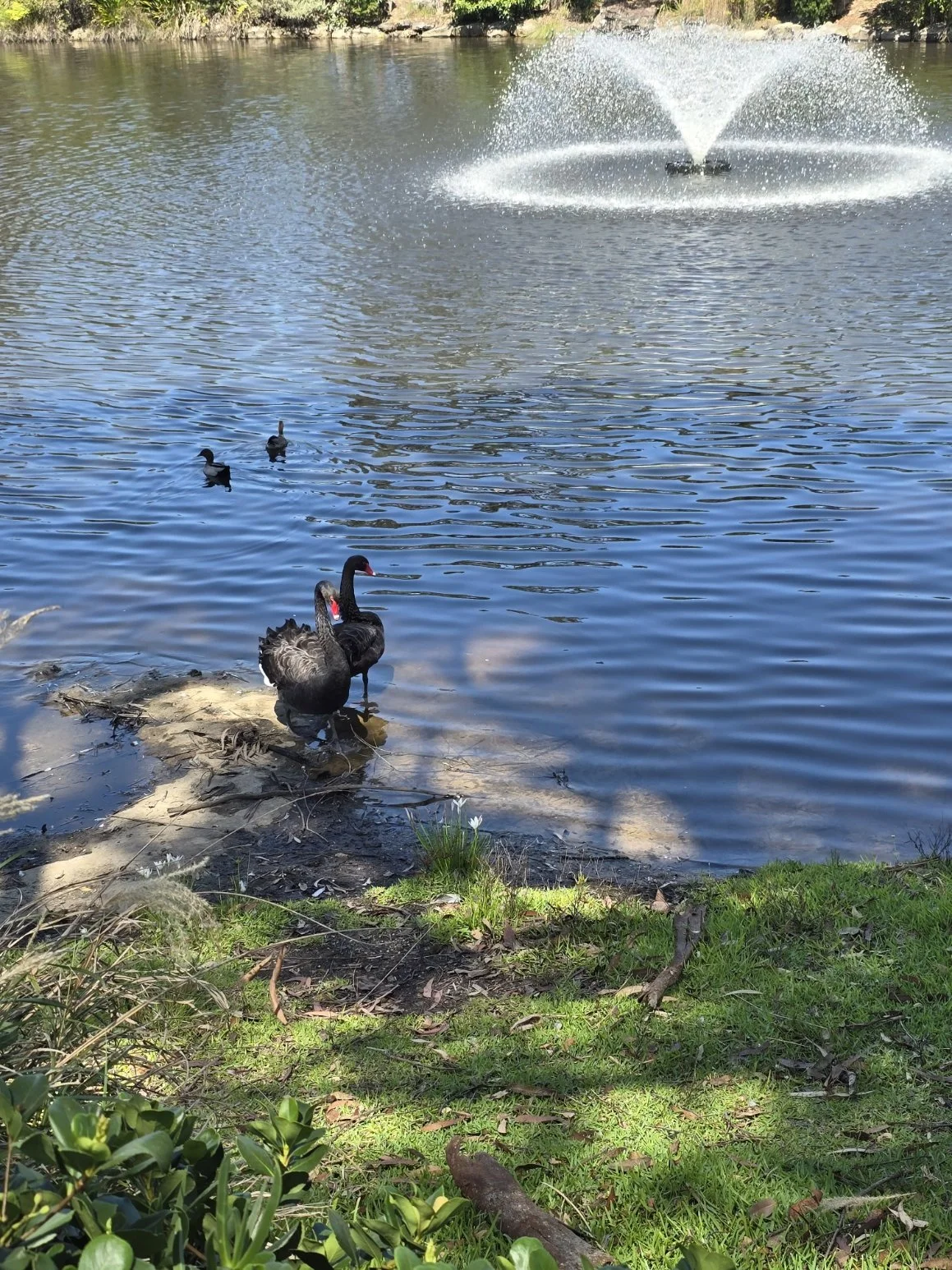 20260131_111457.jpg