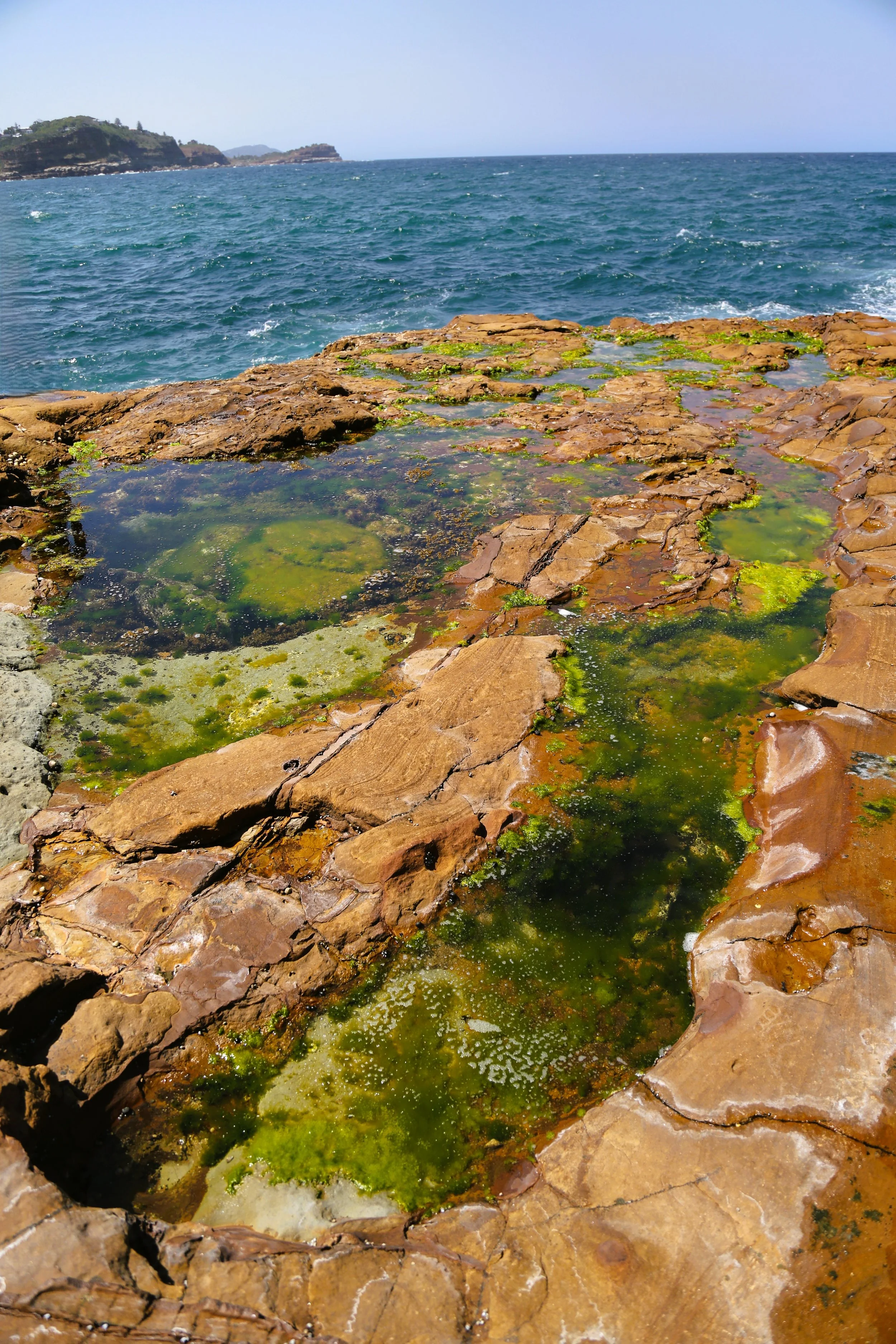 CG9A3083(2).JPG