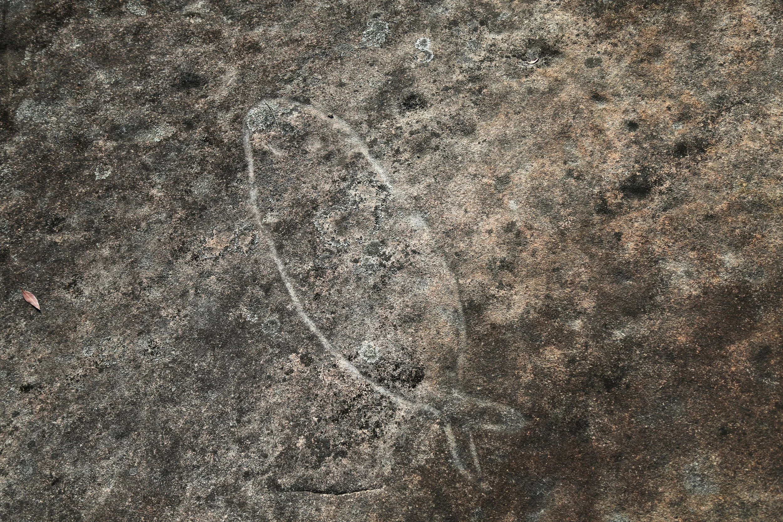CG9A3261(2).JPG