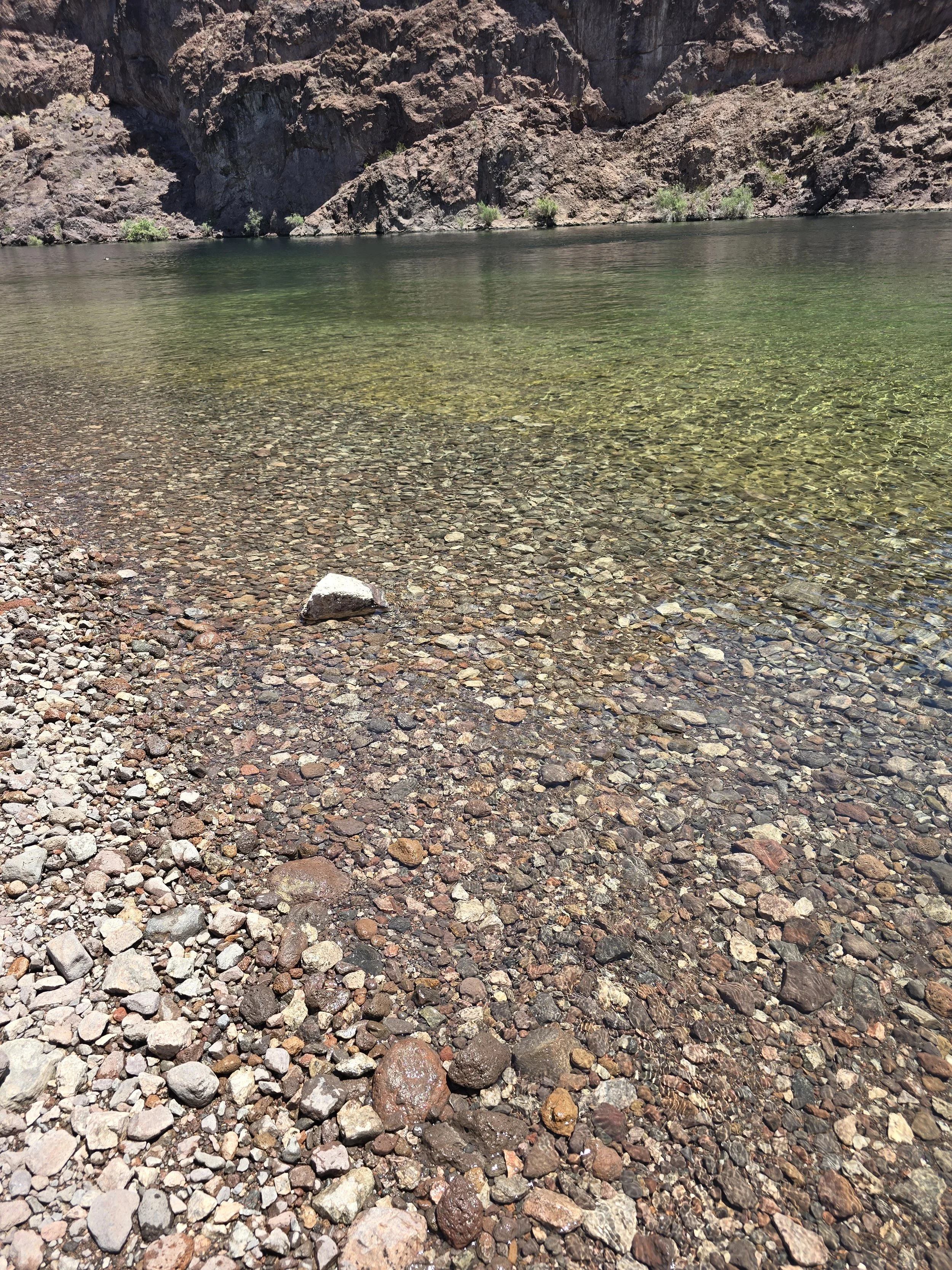 20260514_123621.jpg
