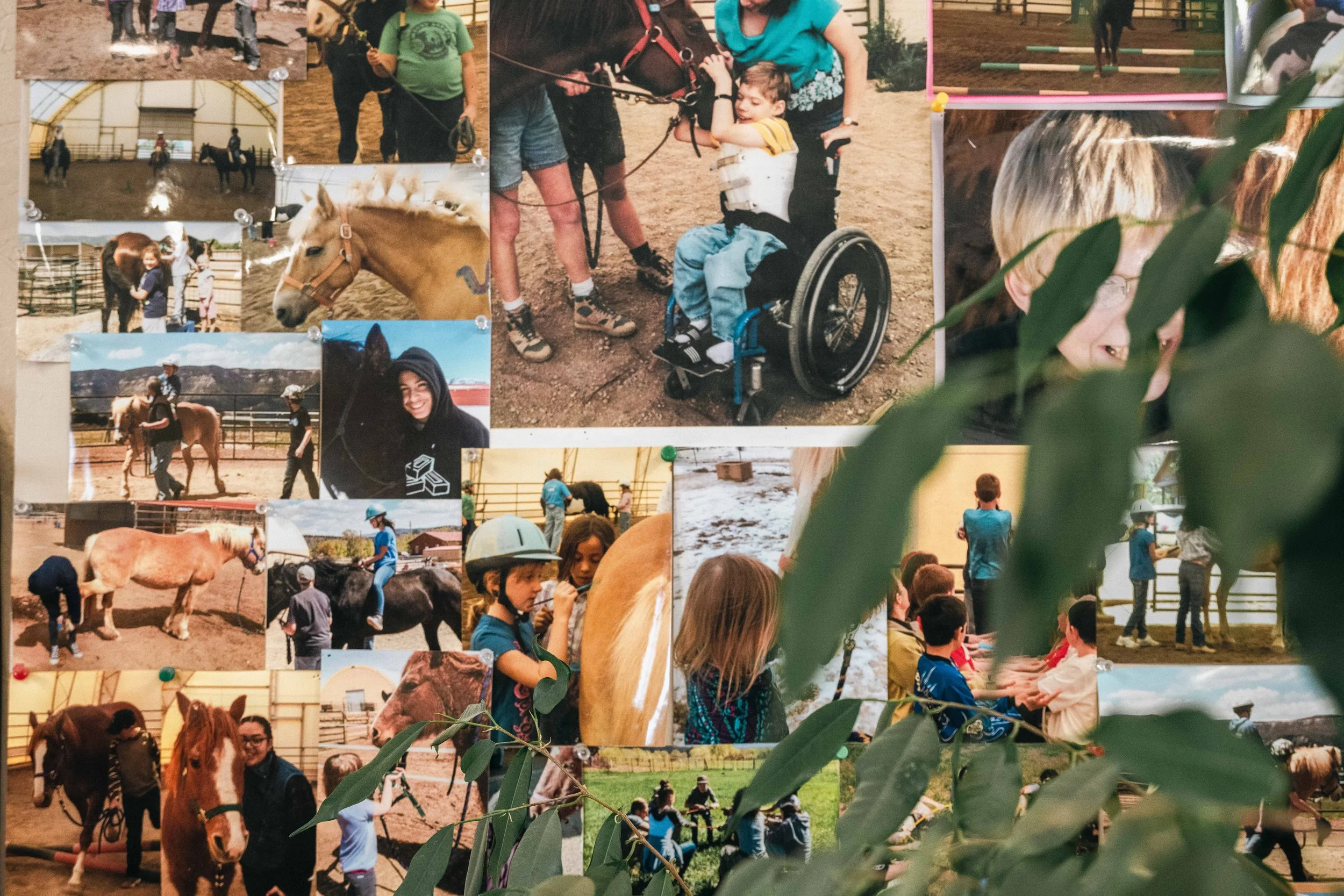 Summer Enrichment Programs