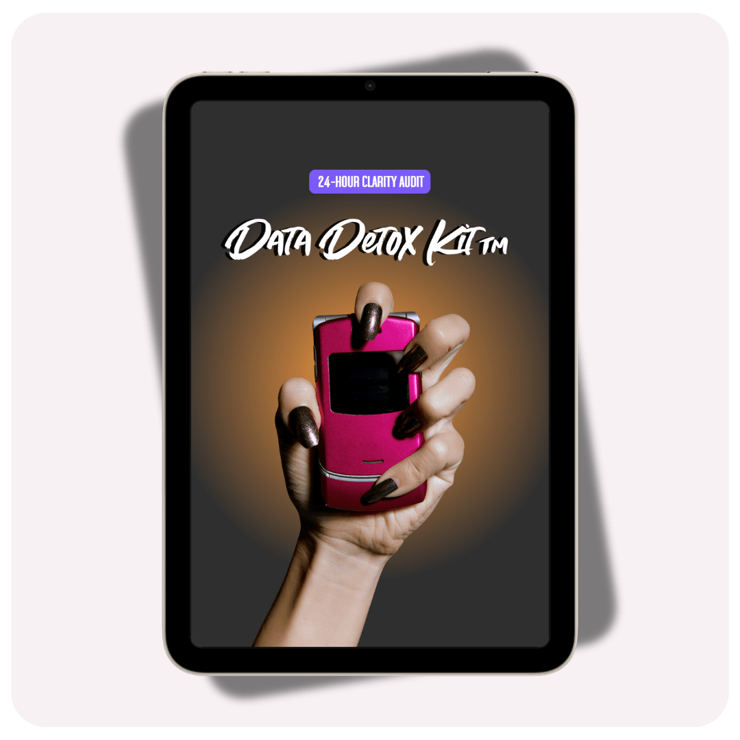 Data Detox Kit™ — 24-Hour Clarity Audit