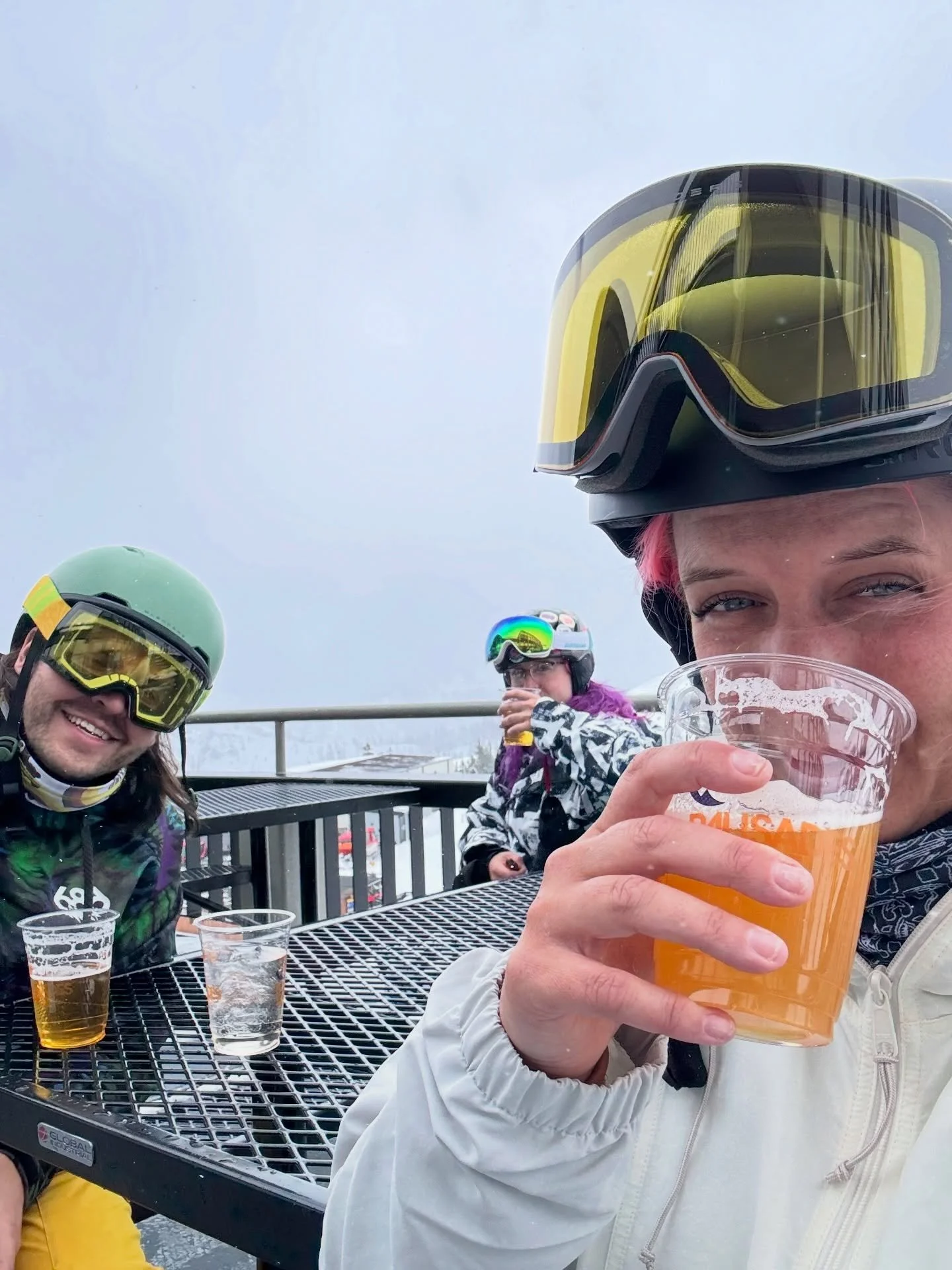 The mountain does not care that i&rsquo;m a researcher. The mountain does not care how well my husband skis. The mountain is just there, being enormous, and the three of us were on it for a minute, with a beer, being temporary.

RIP my quads