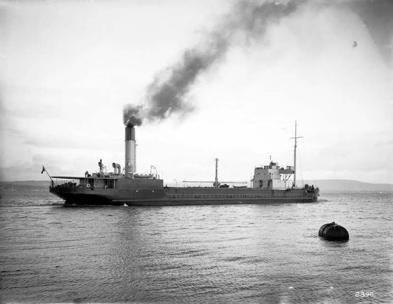 1c90206b0.jpg