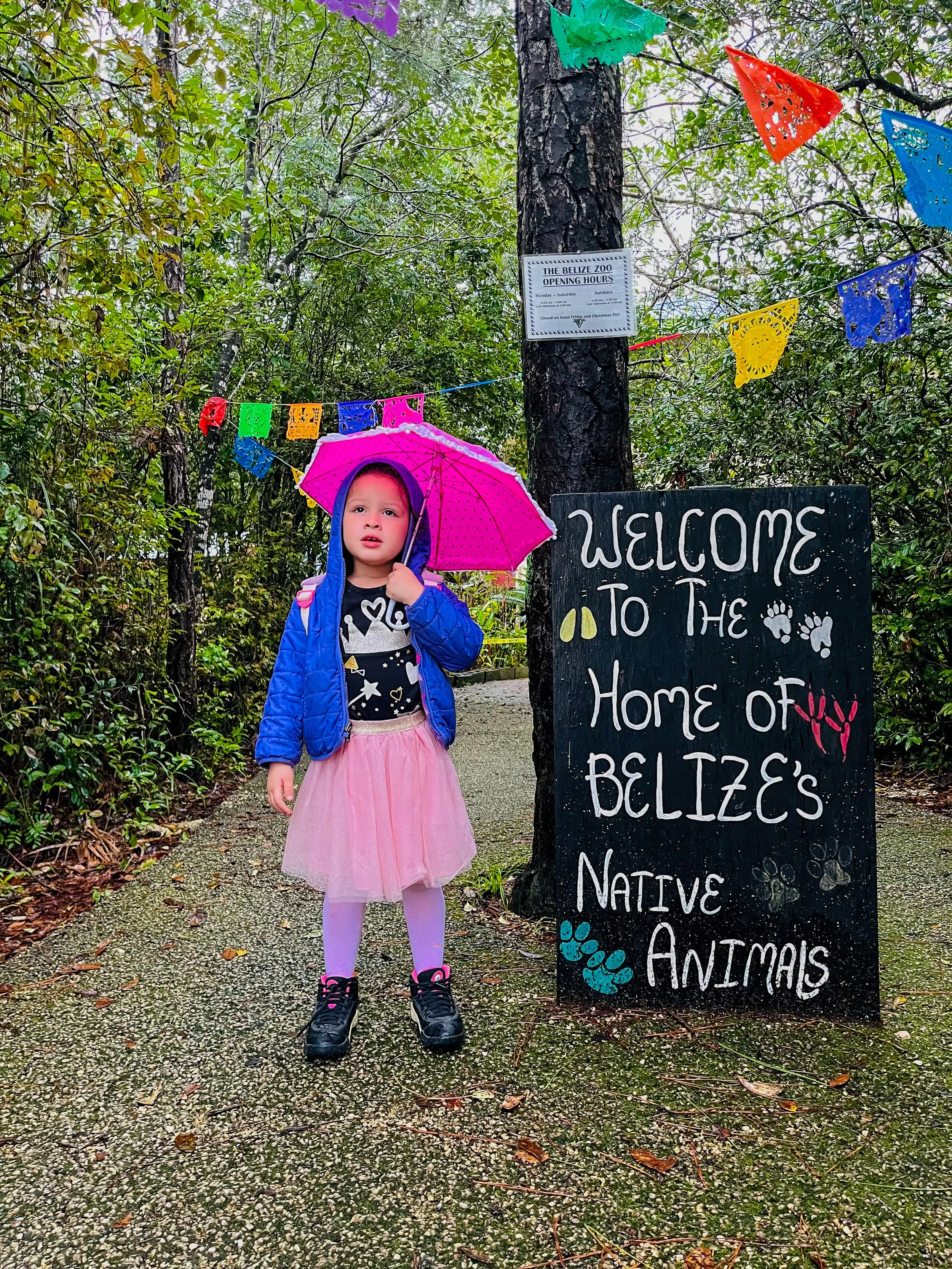 The best little zoo in the world