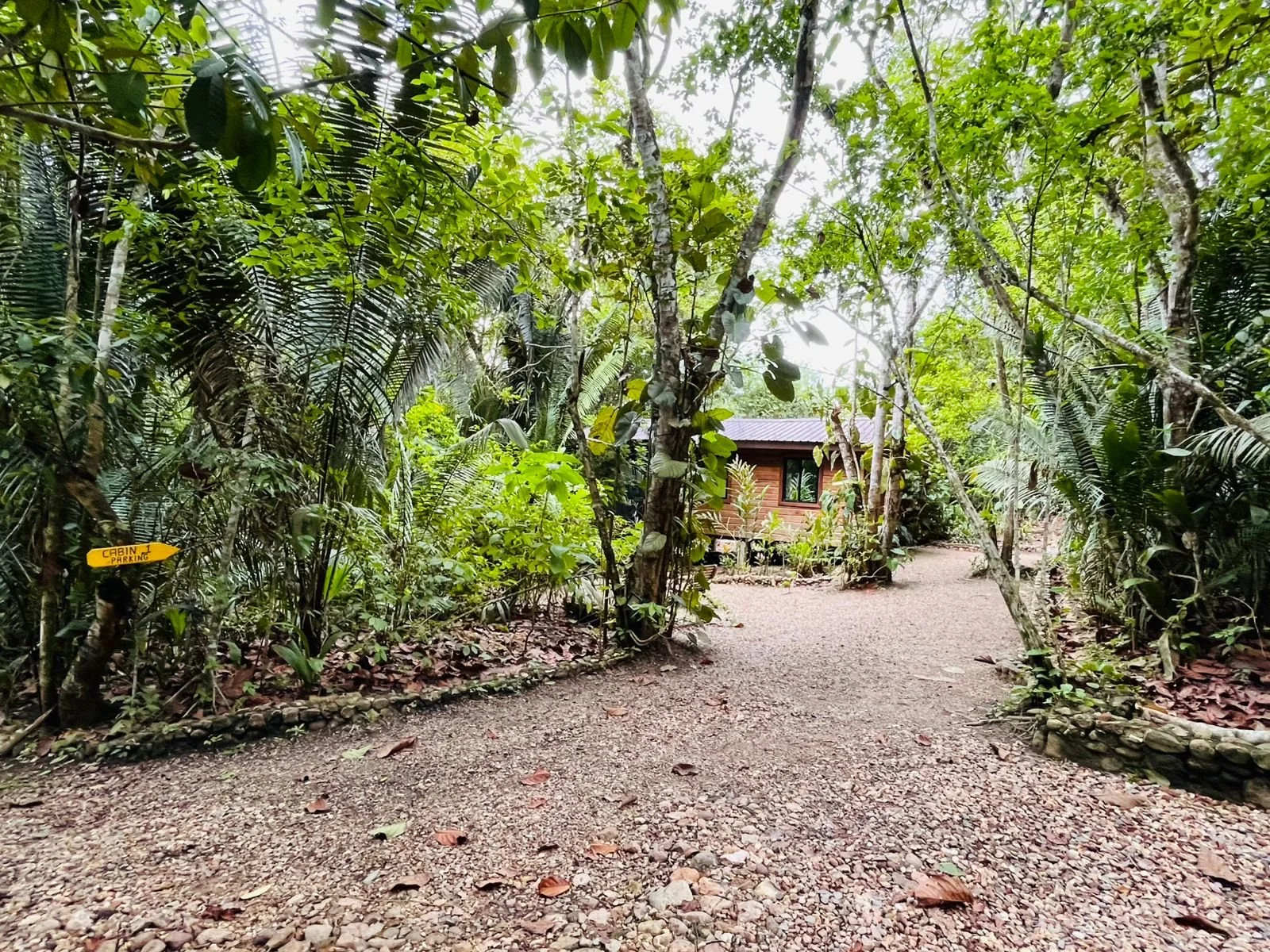 Entrance to Cabin 1, on the right hand side with parking space.