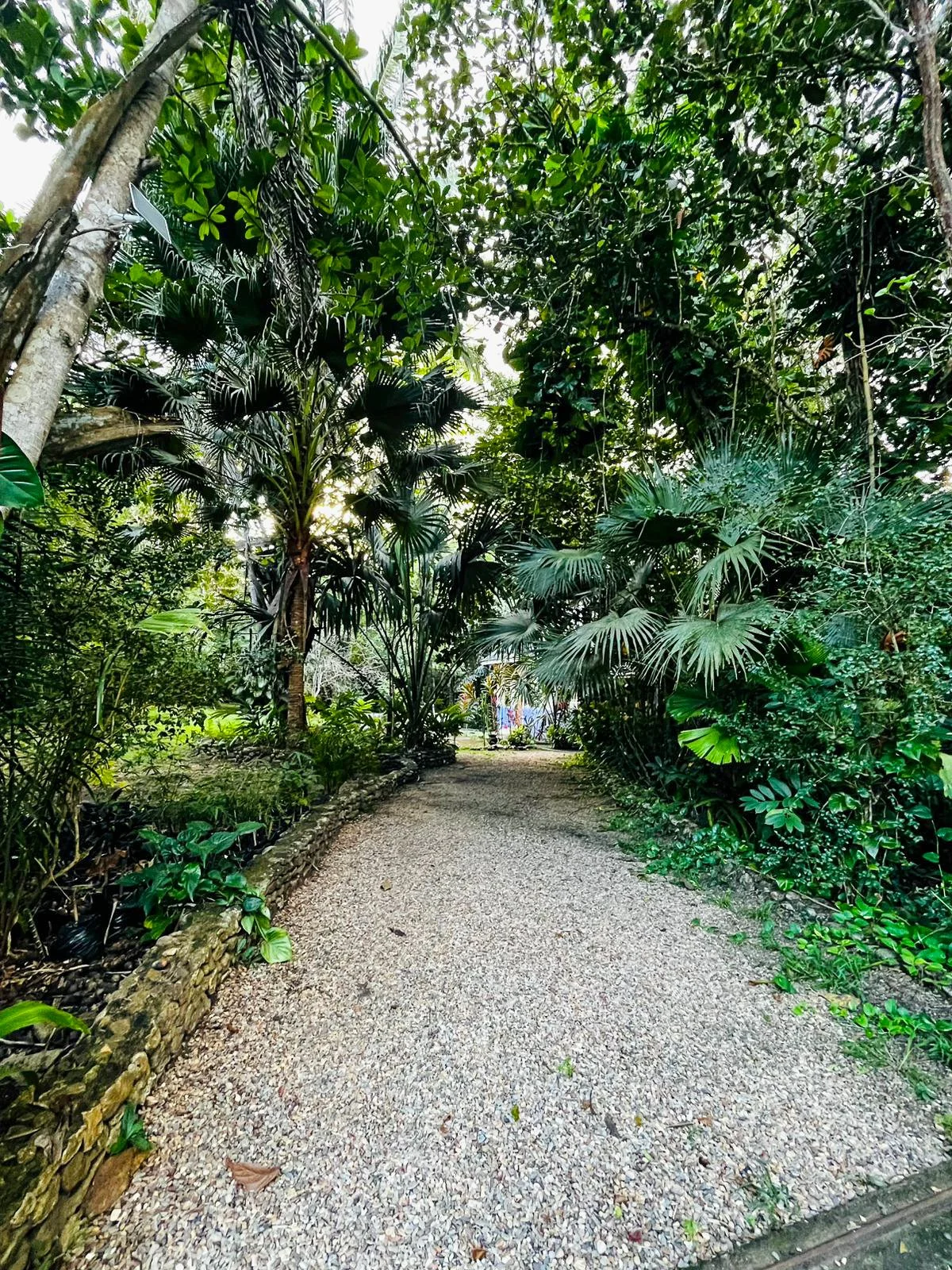 Beyond Paradise, Entrance and parking space 