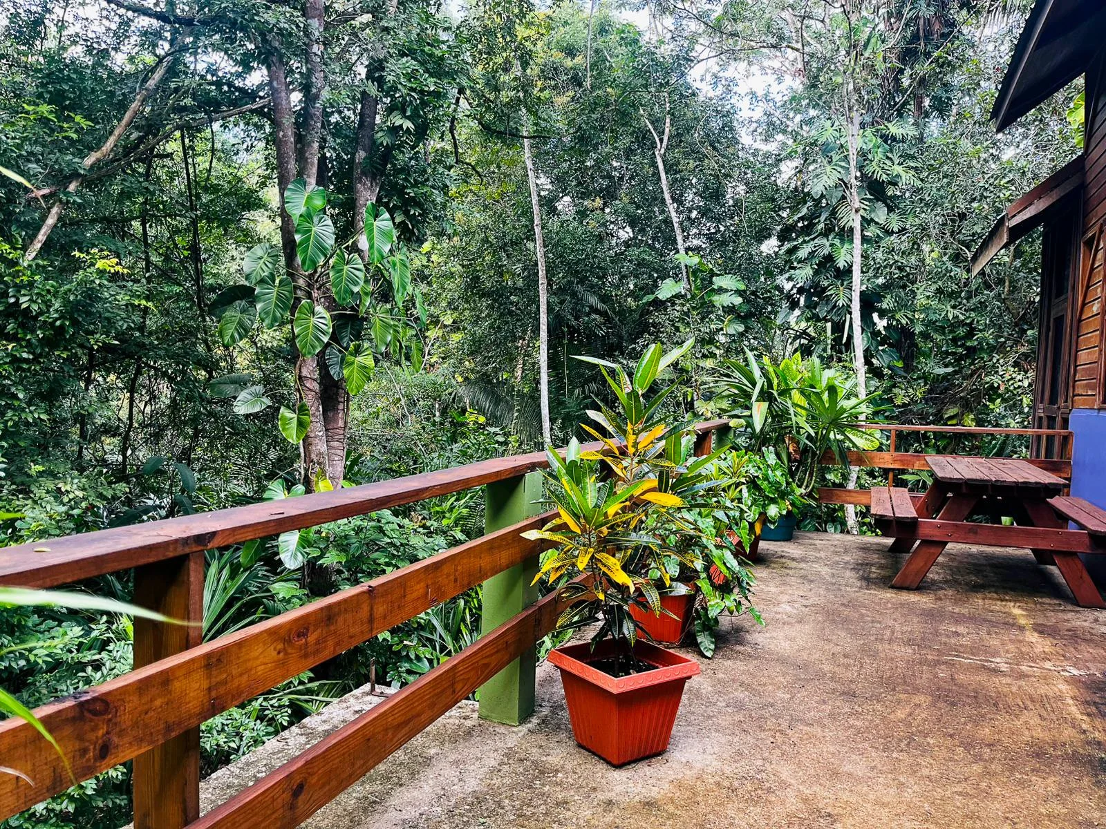 Beyond Paradise, open porch to the back 