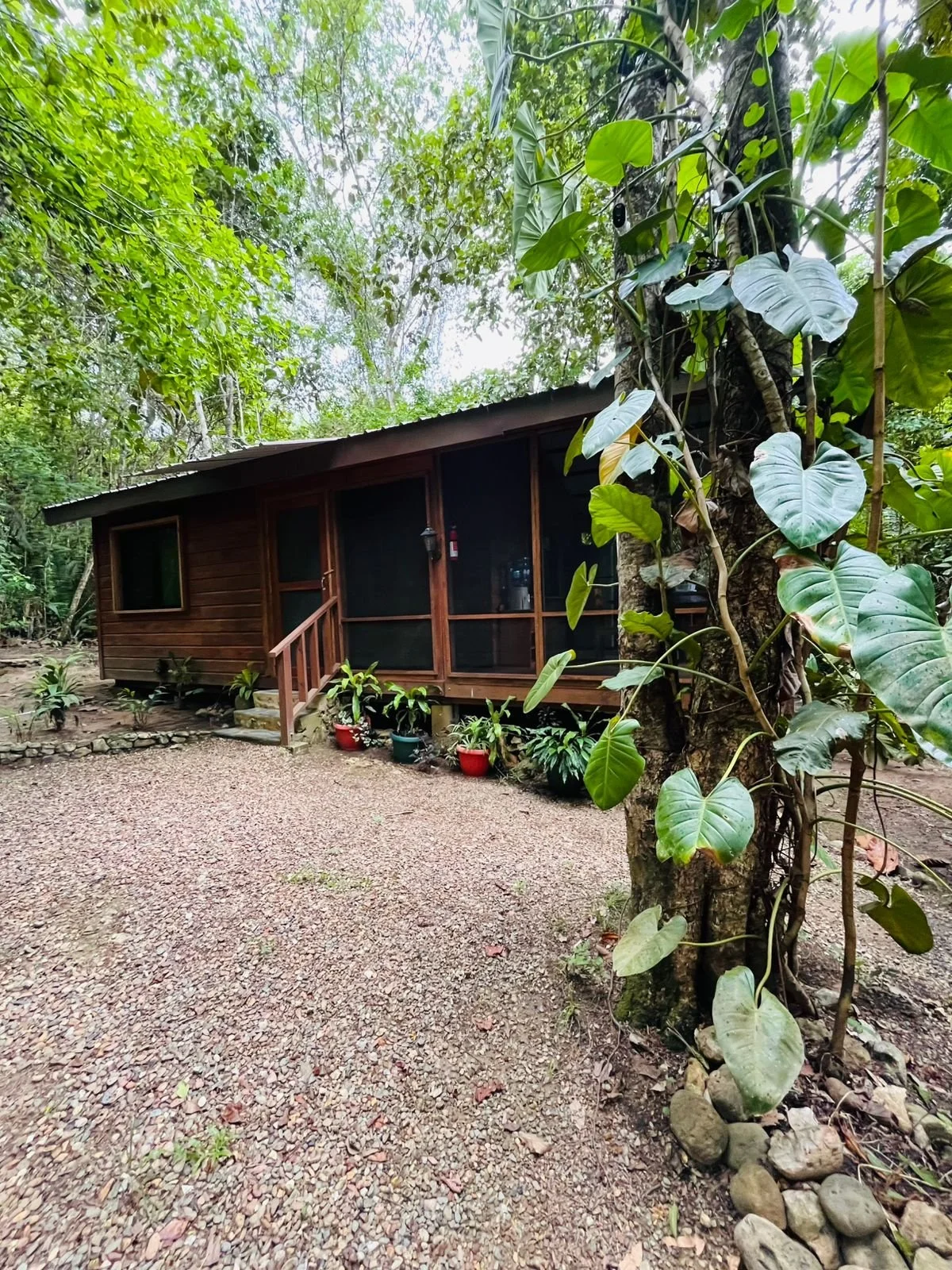 Green Jay Cabin 2 - Outdoors 1.jpeg