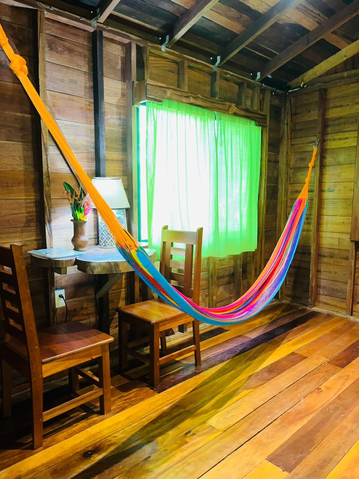 Indoors - hammock 