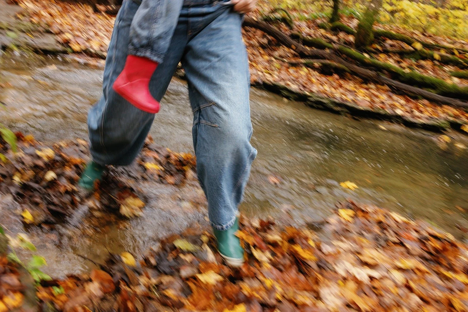 Person crossing a shallow stream in autumn, wearing jeans and rain boots, surrounded by fallen leaves in Nashville, TN.
