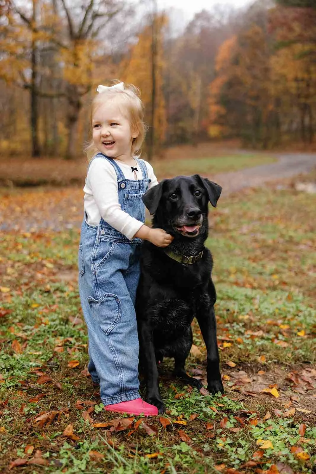 Little girl in overalls hugging a black dog with a fall background