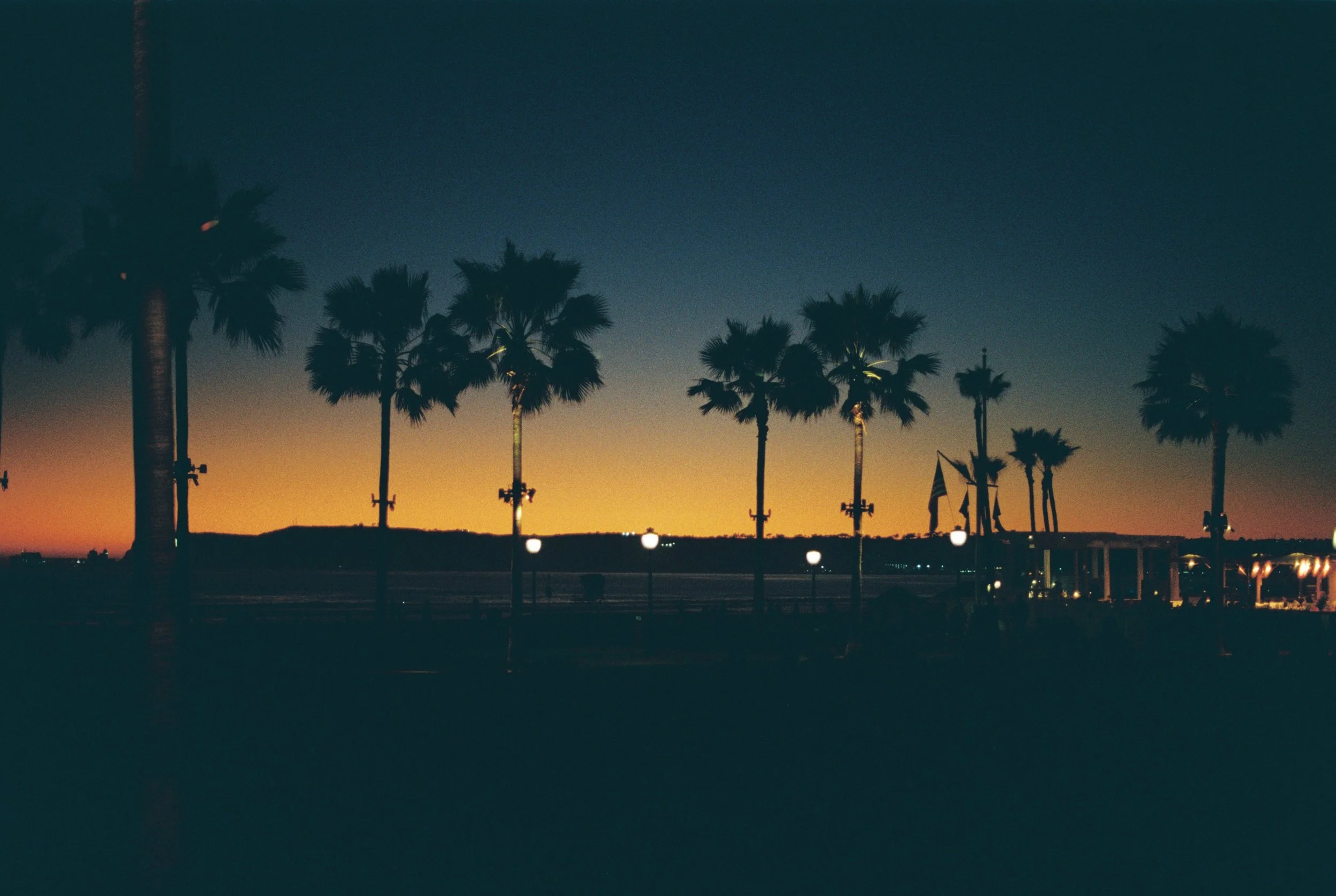Silhouettes of palm trees and lampposts against a sunset sky with a gradient of orange and blue.