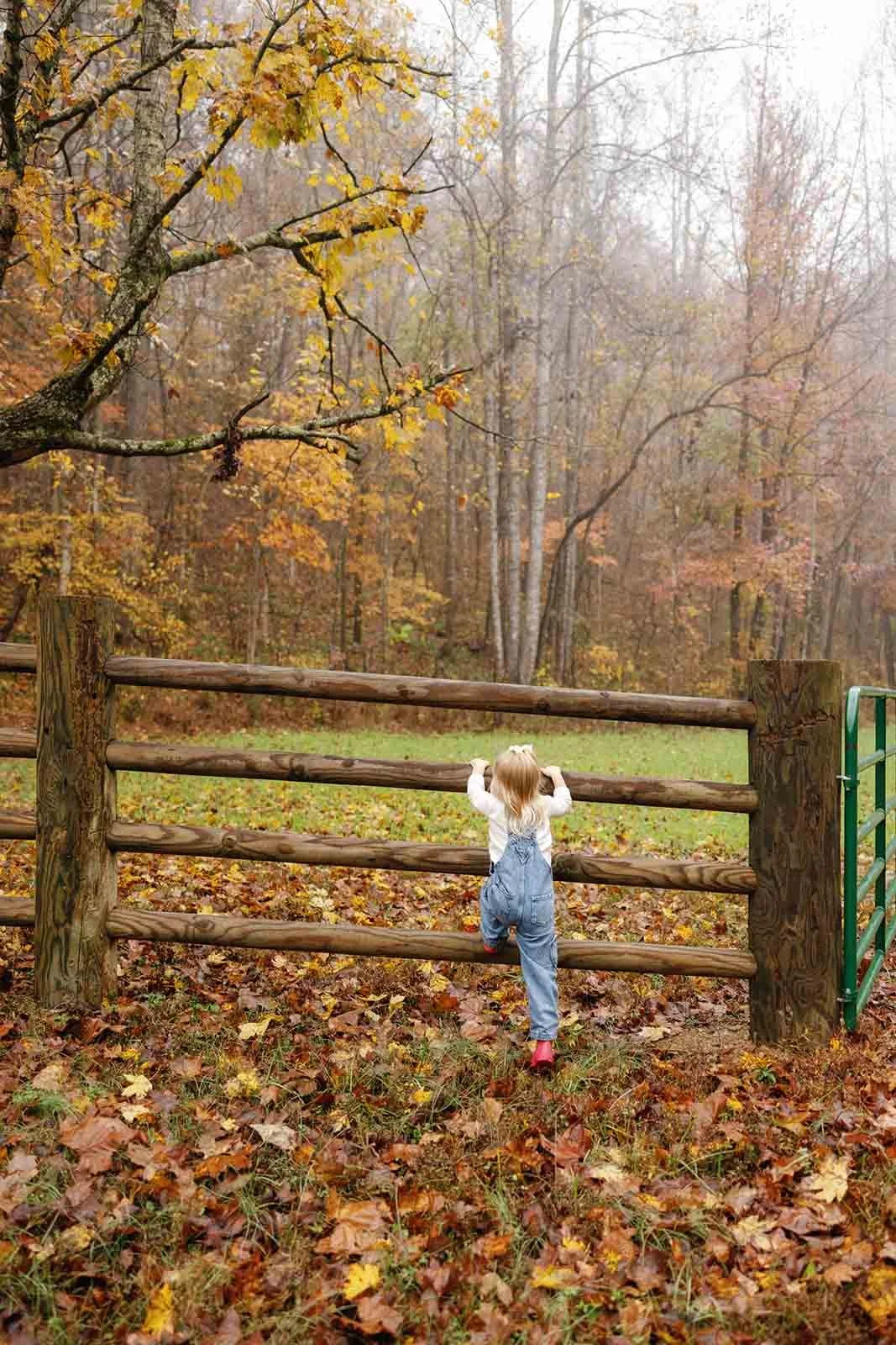 Little girl trying to climb a fence with a foggy fall background