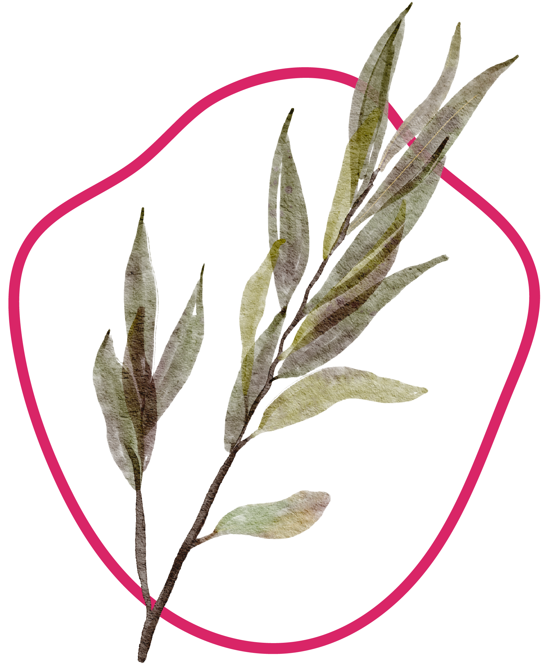 Watercolor illustration of a green leafed plant, outlined by a pink shape.