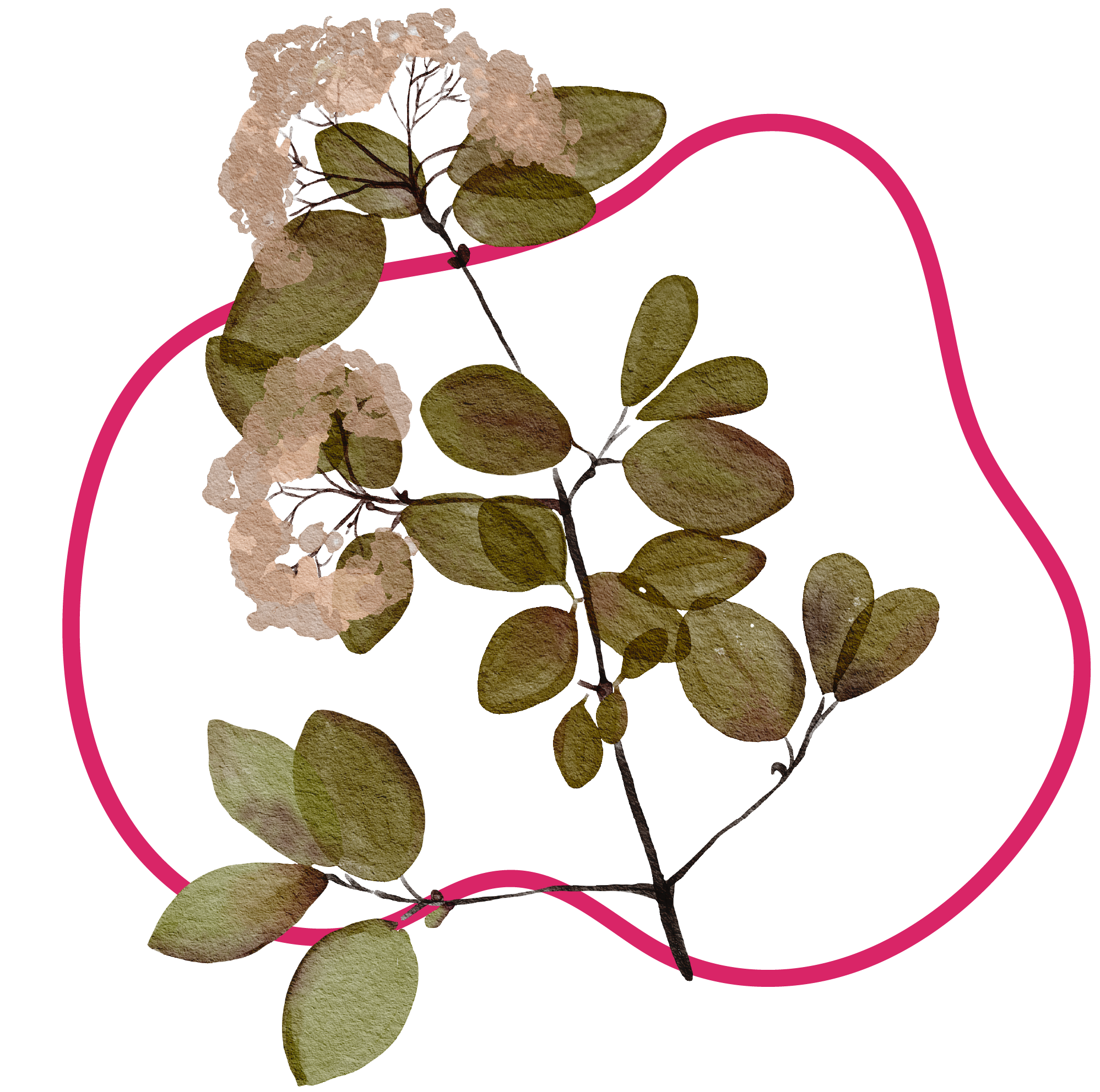 Watercolor illustration of a green leafed plant, outlined by a pink shape.