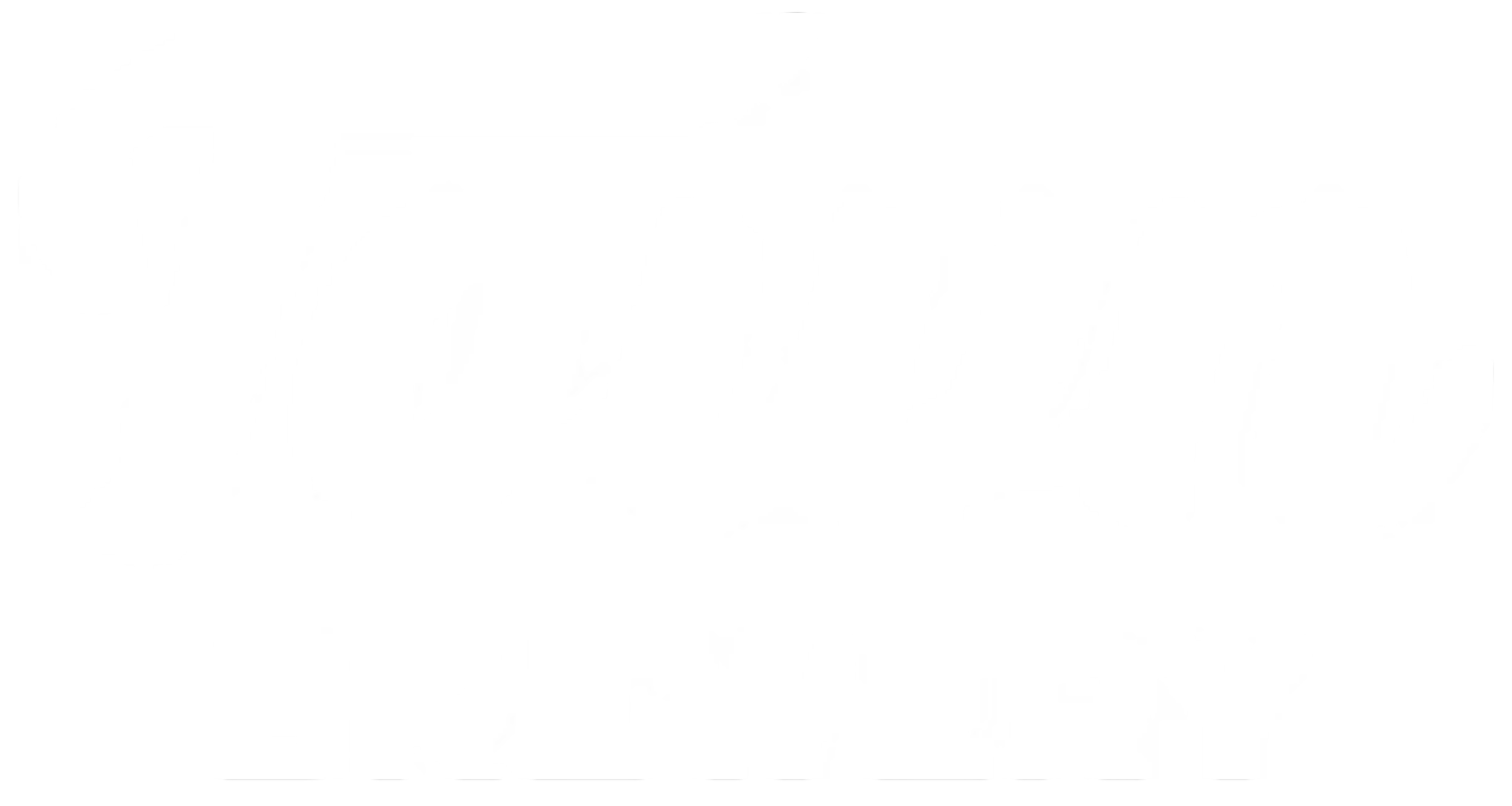 This image appears to be corrupted or has visual artifacts, making it difficult to determine its content.